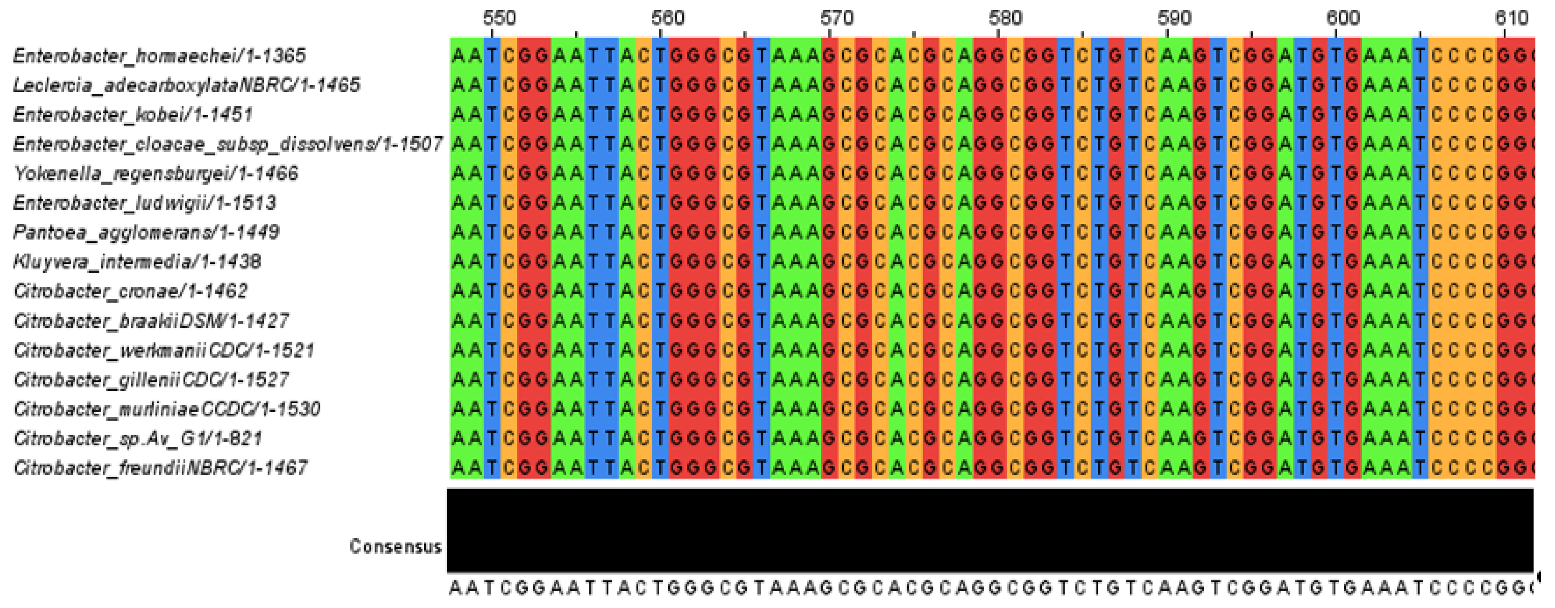 Energies 16 03047 g002