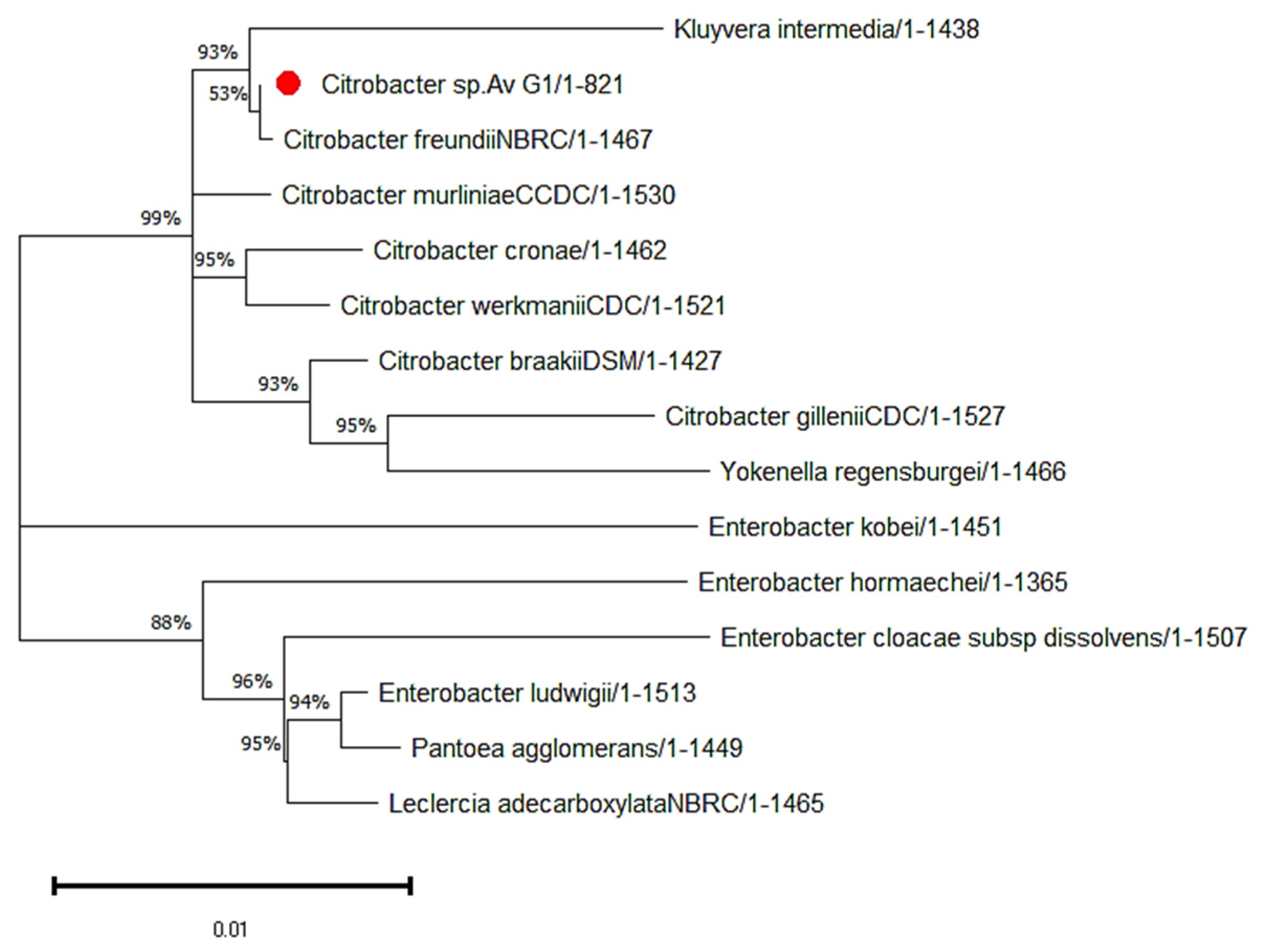 Energies 16 03047 g005
