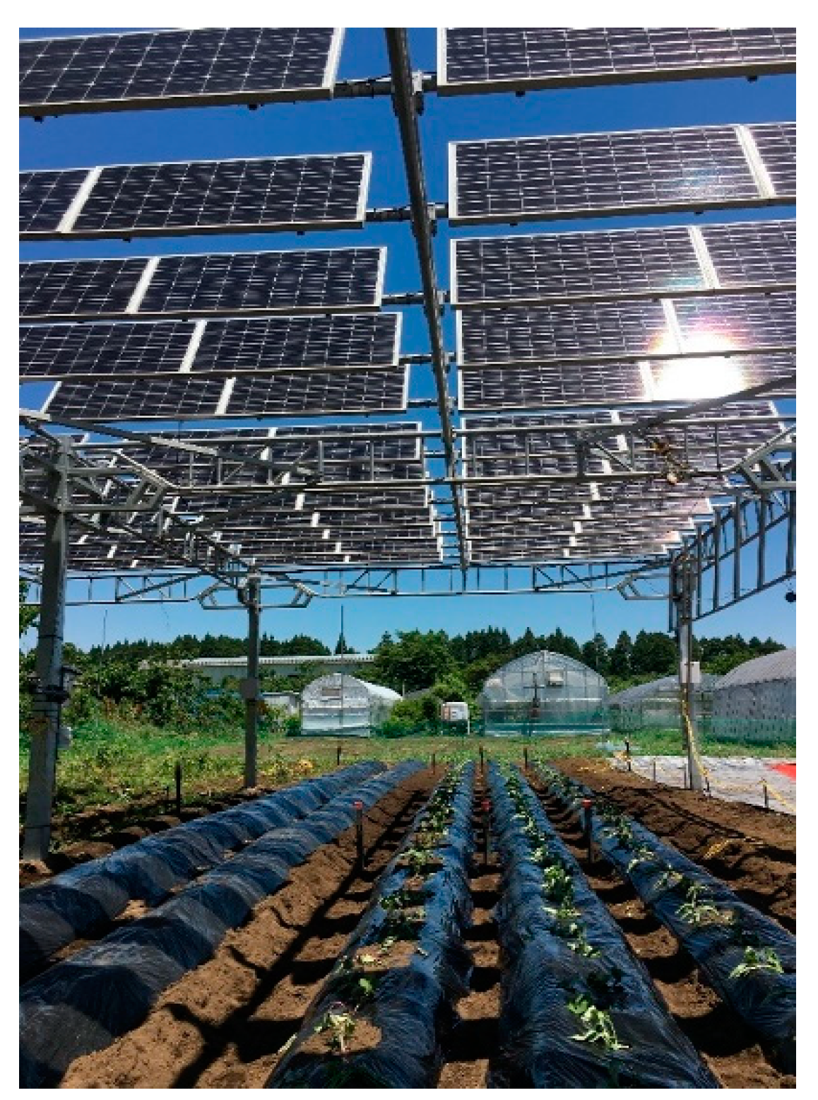 Energies 16 03261 g002