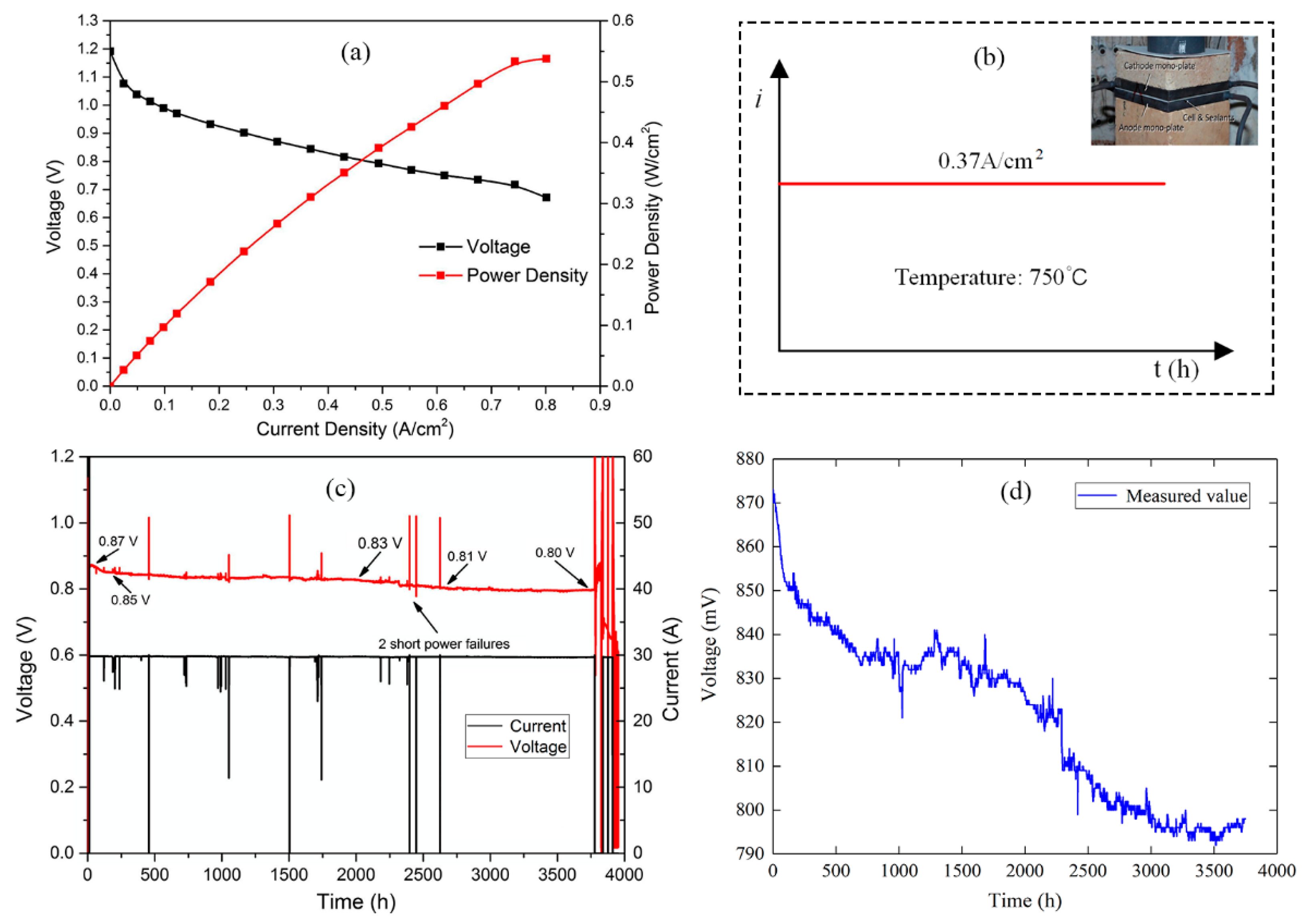 Energies 16 03628 g002