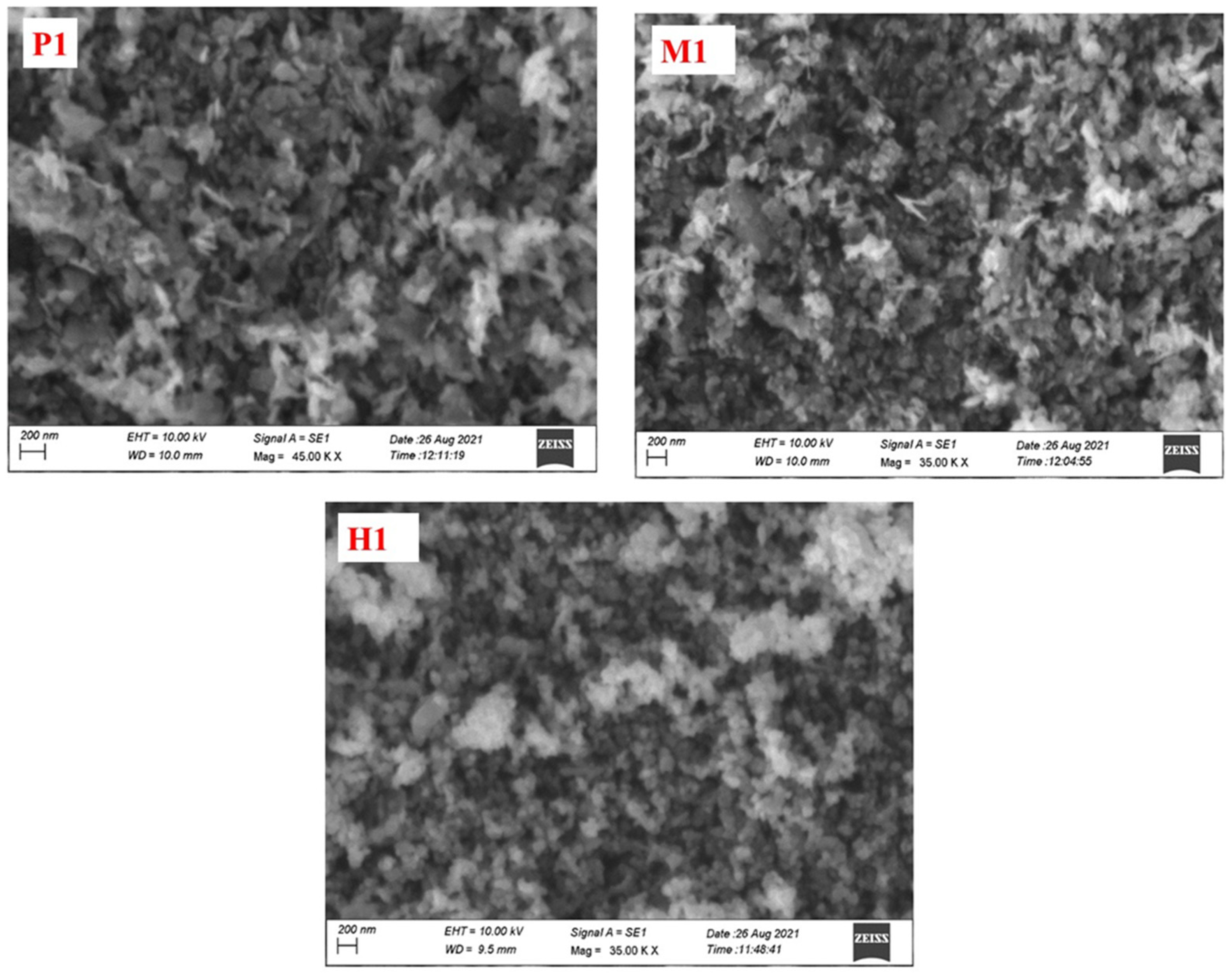 Energies 16 03696 g004 Energies 16 03696 g004