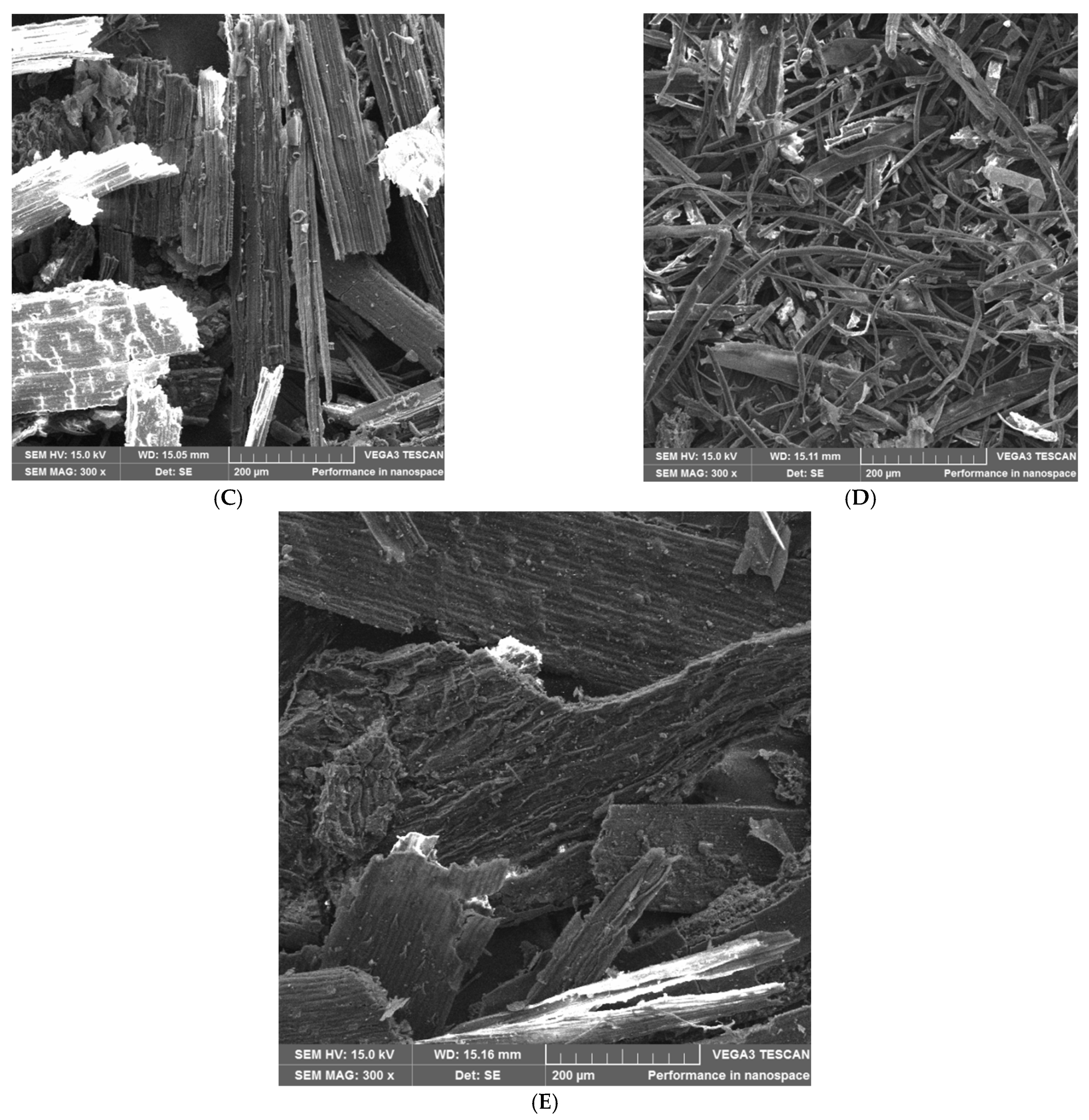 Energies 16 03977 g001b