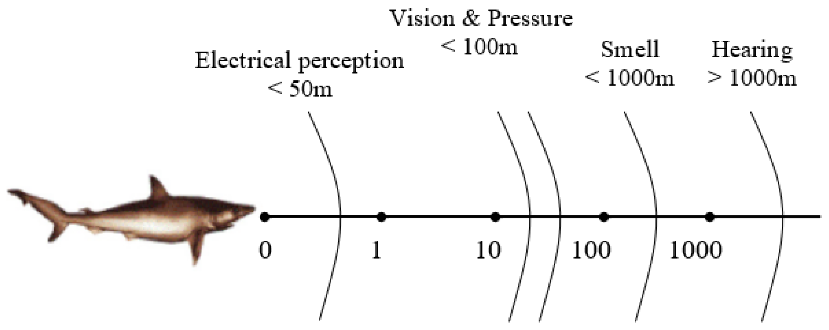Energies 16 03983 g001