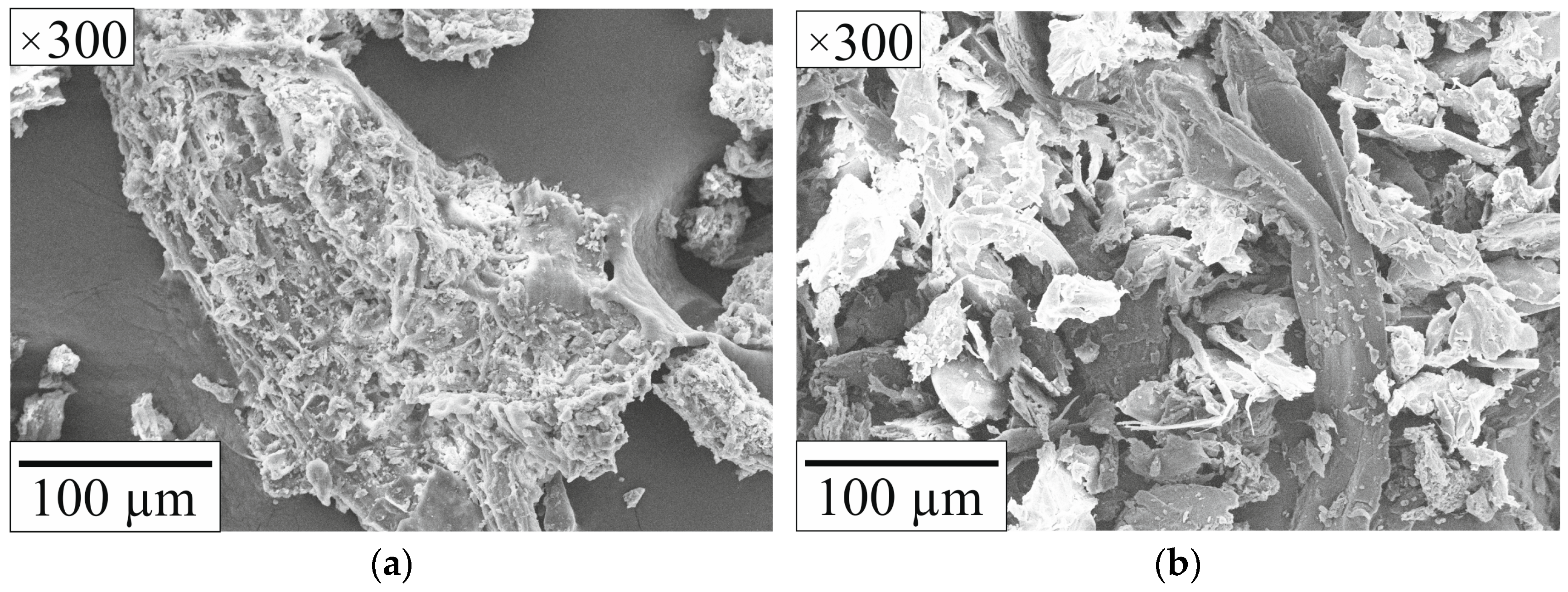 Energies 16 04038 g002