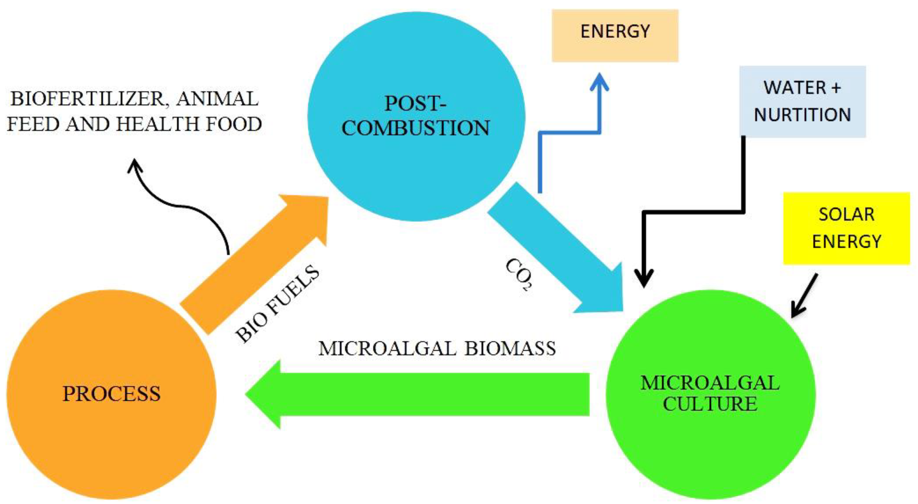 Energies 16 04100 g010