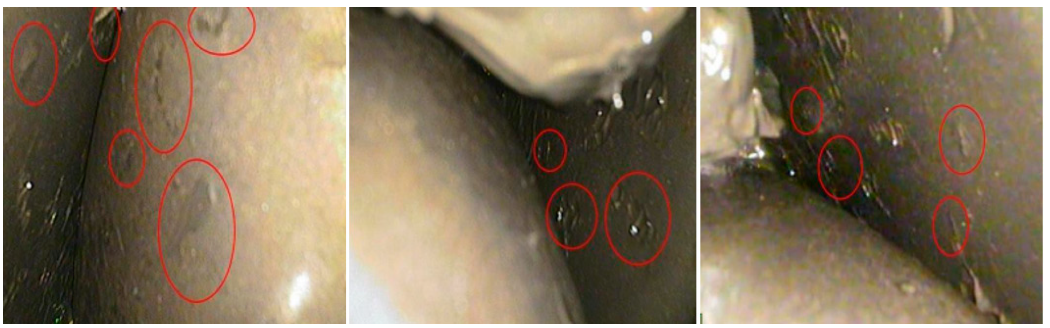 Energies 16 04123 g012