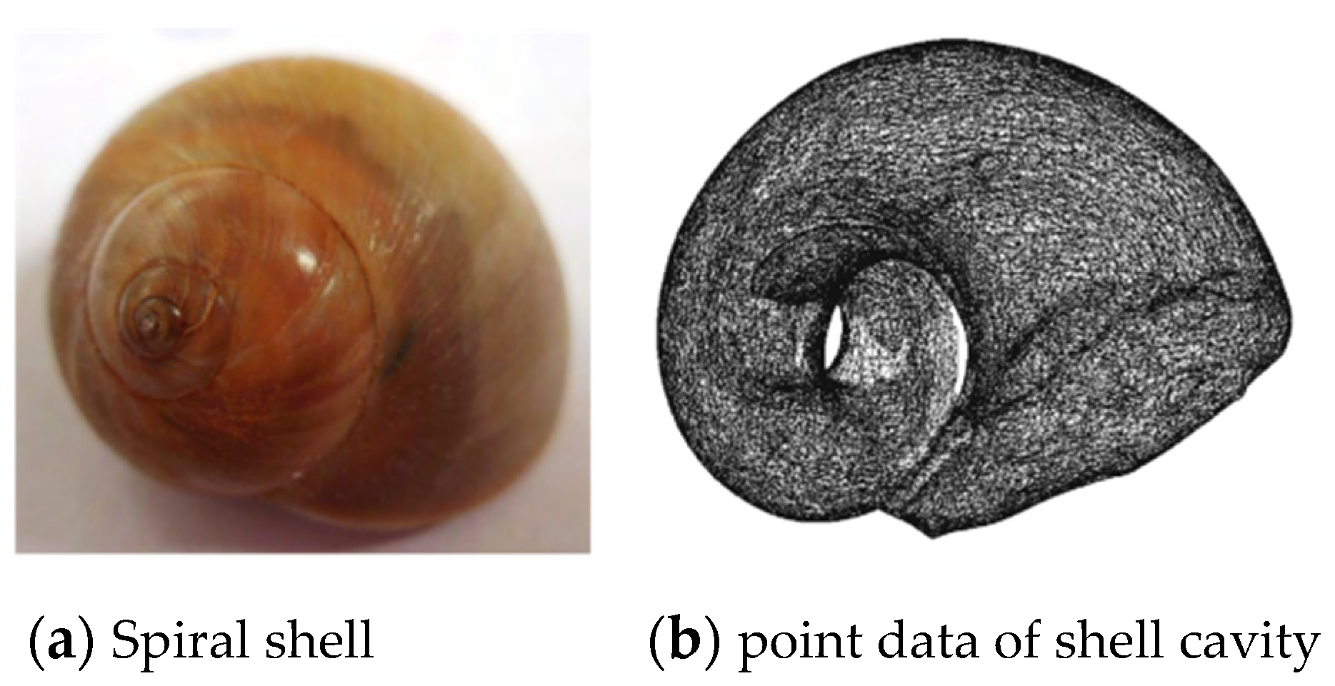 Energies 16 04331 g005