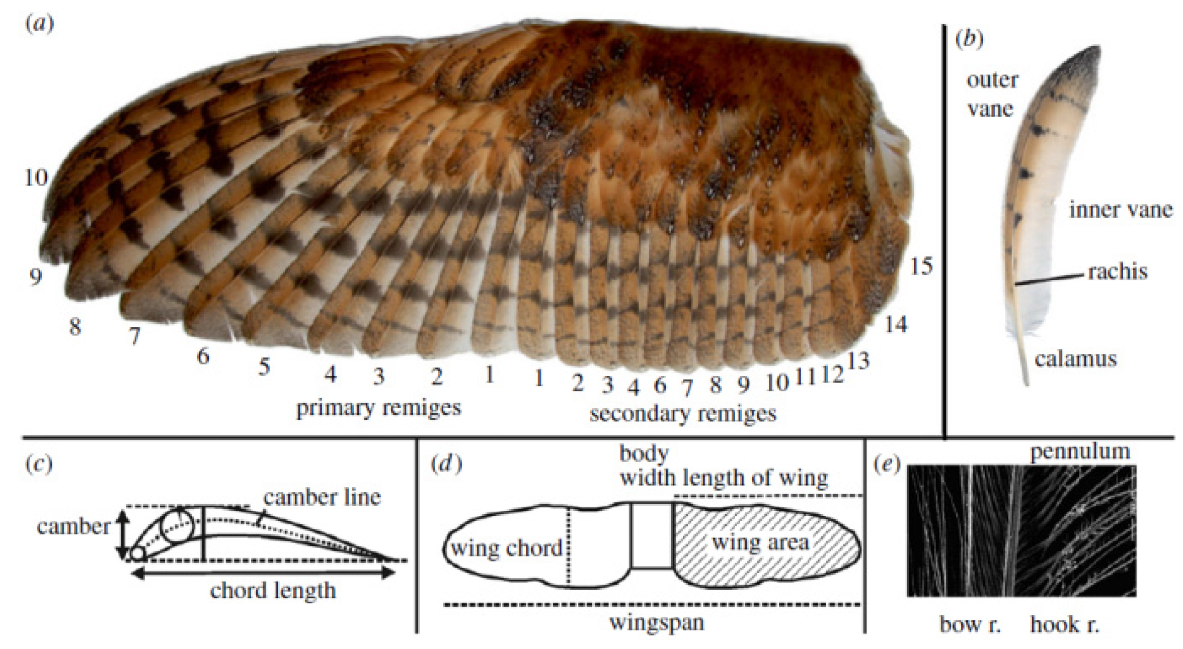 Energies 16 04331 g012