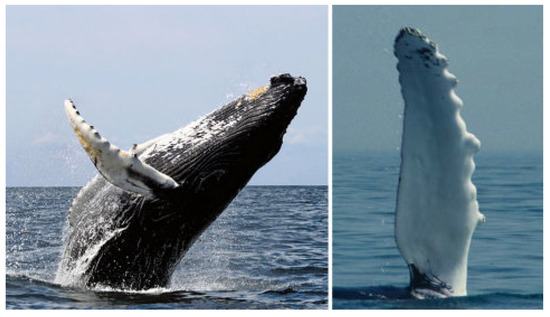 Energies 16 04331 g015