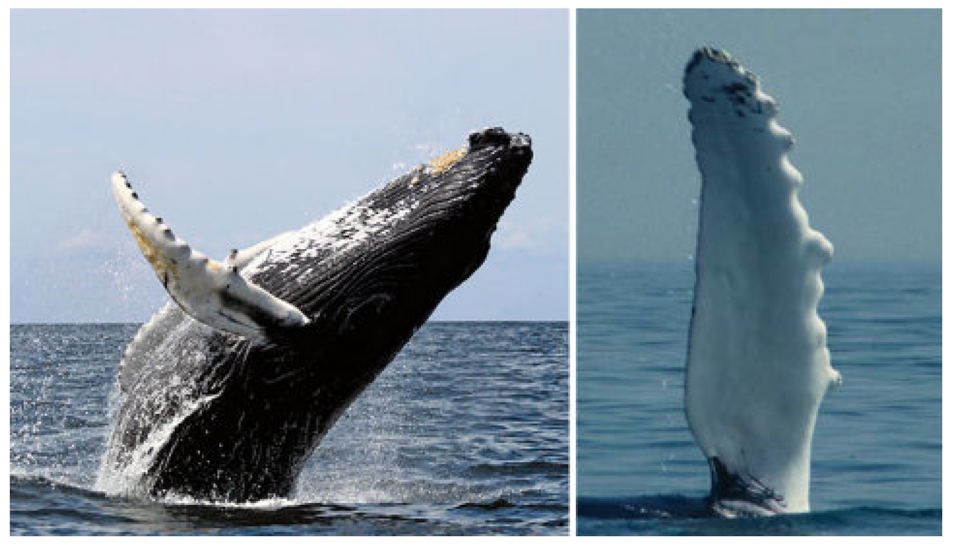 Energies 16 04331 g015