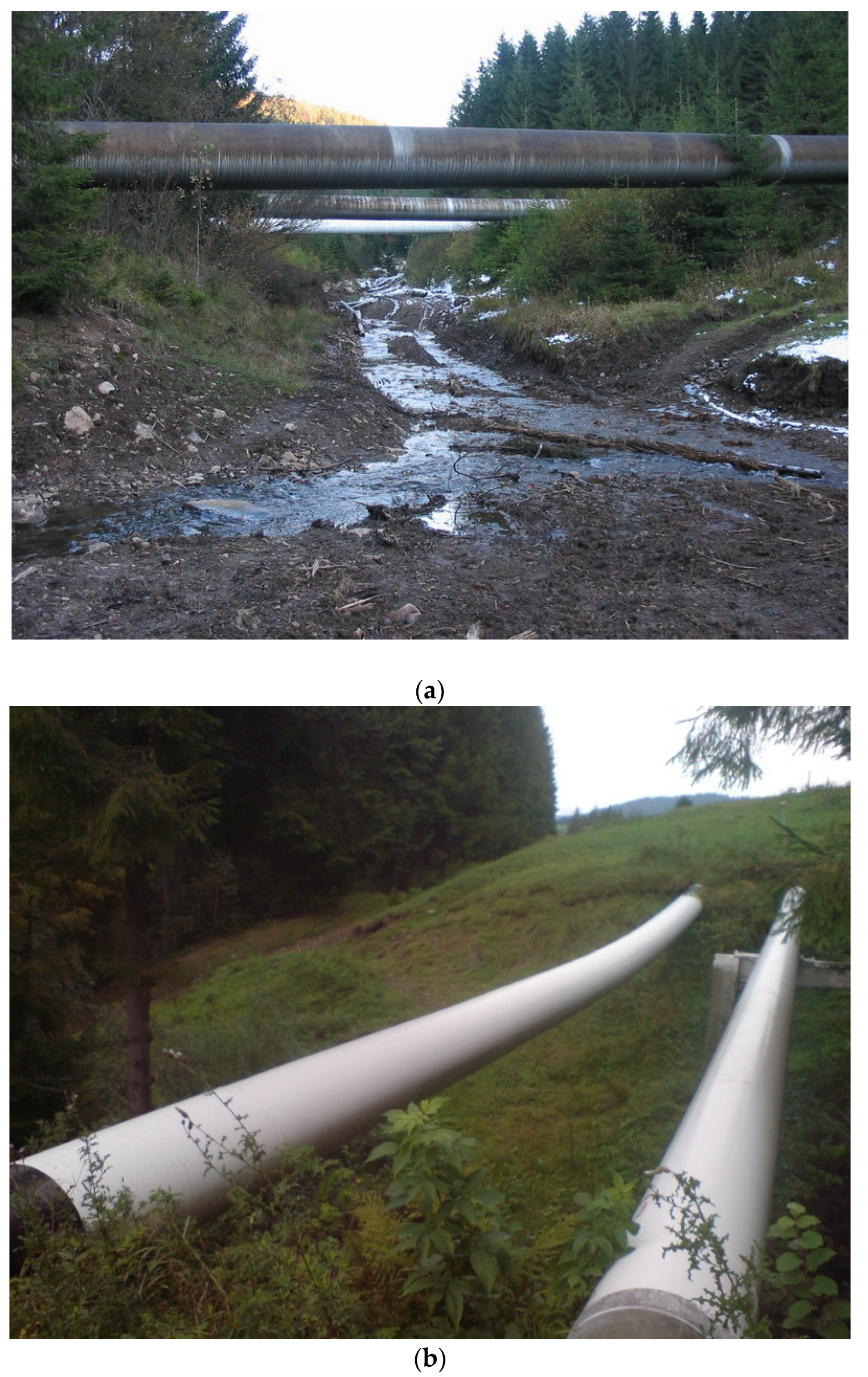 Energies 16 04464 g001