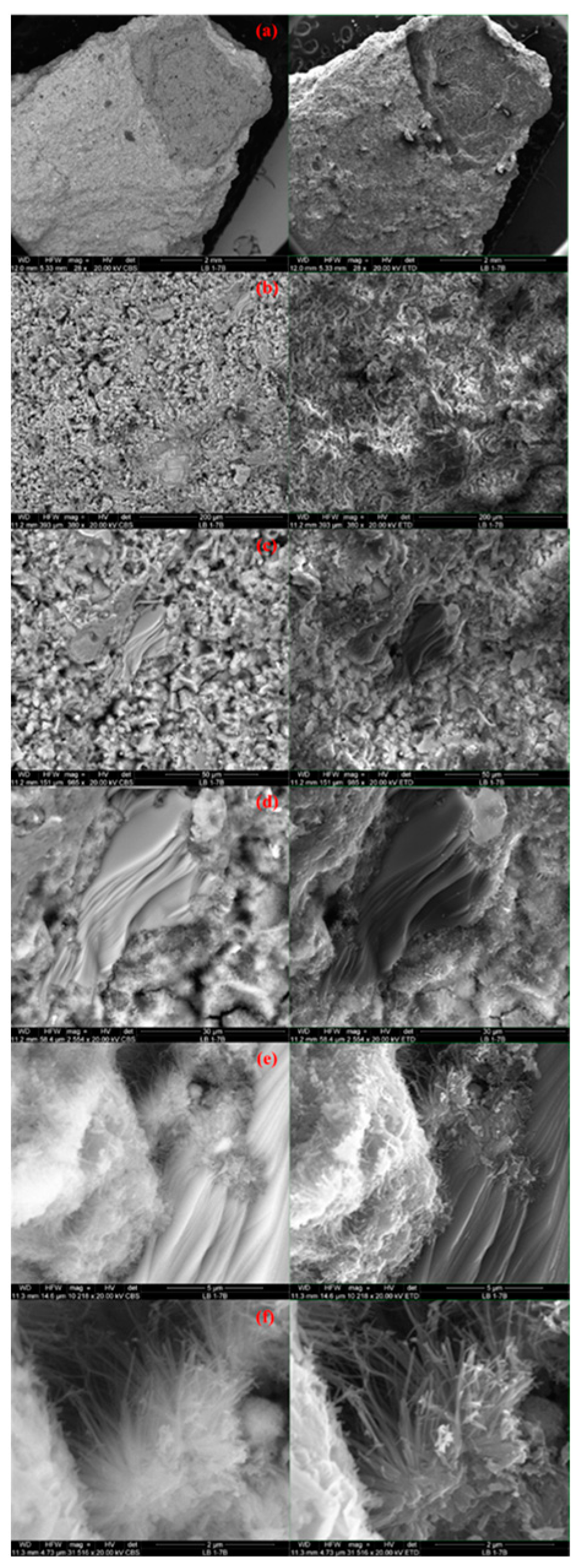 Energies 16 04727 g010 Energies 16 04727 g010