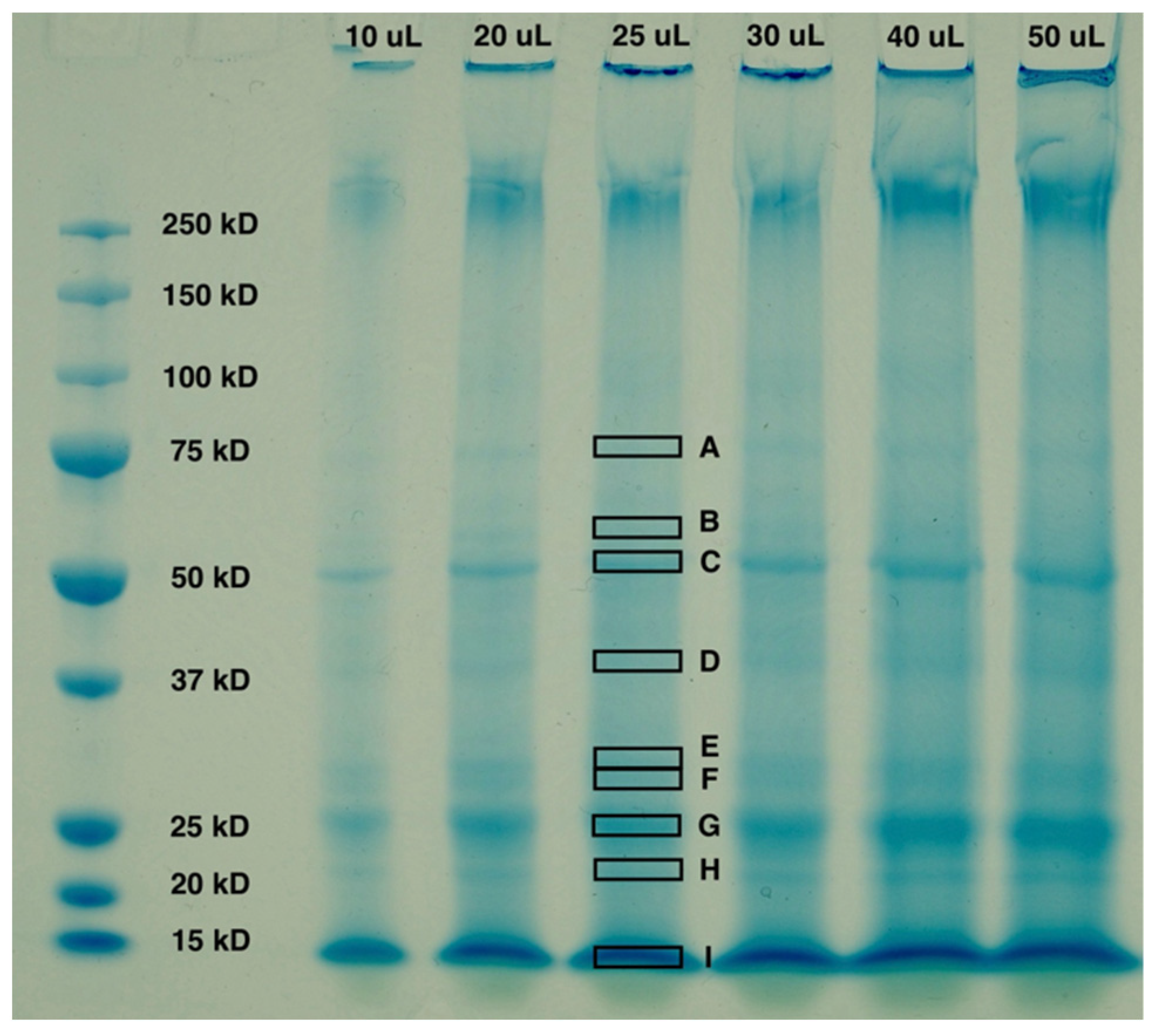 Energies 16 04809 g001