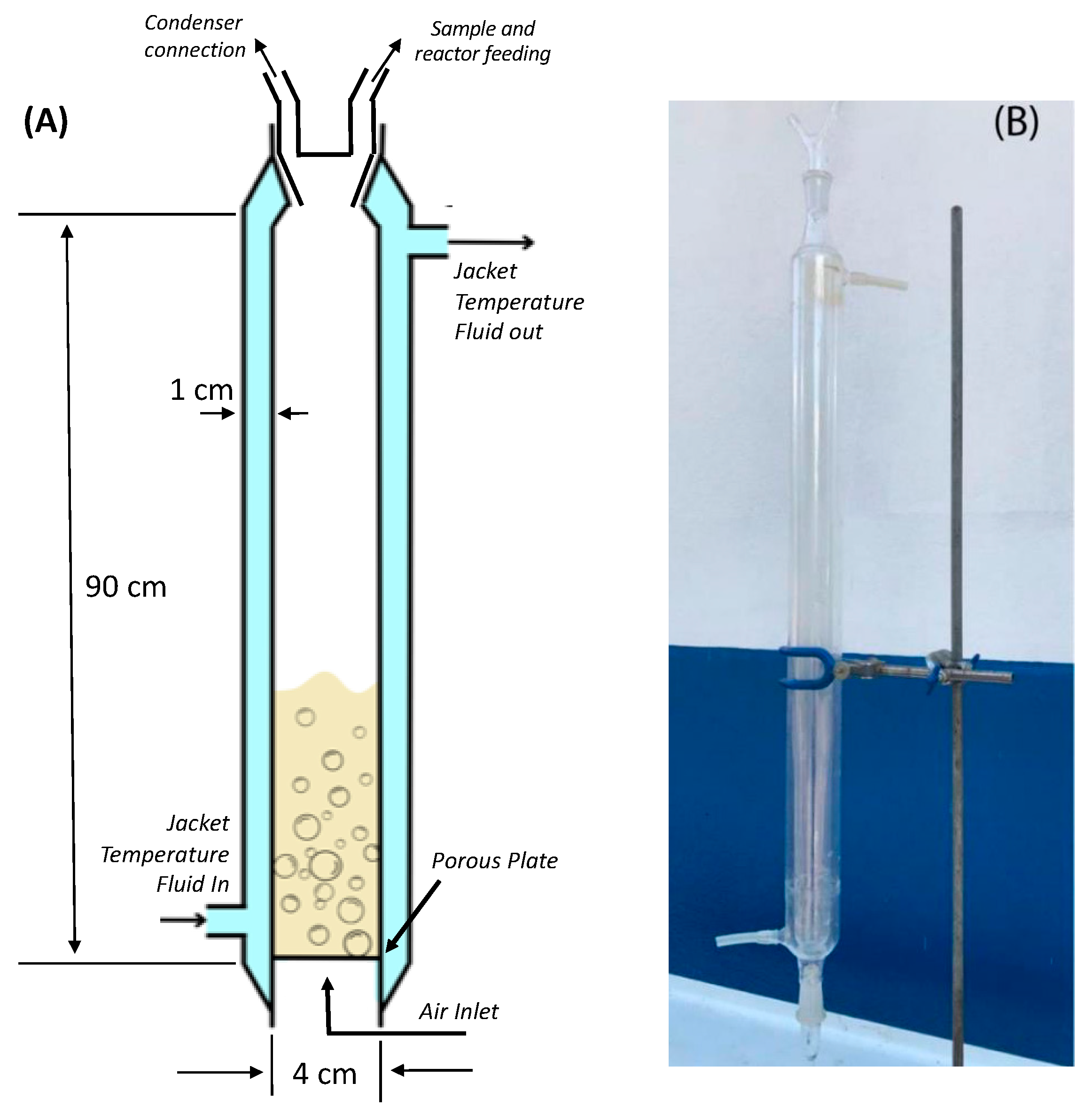 Energies 16 04841 g002