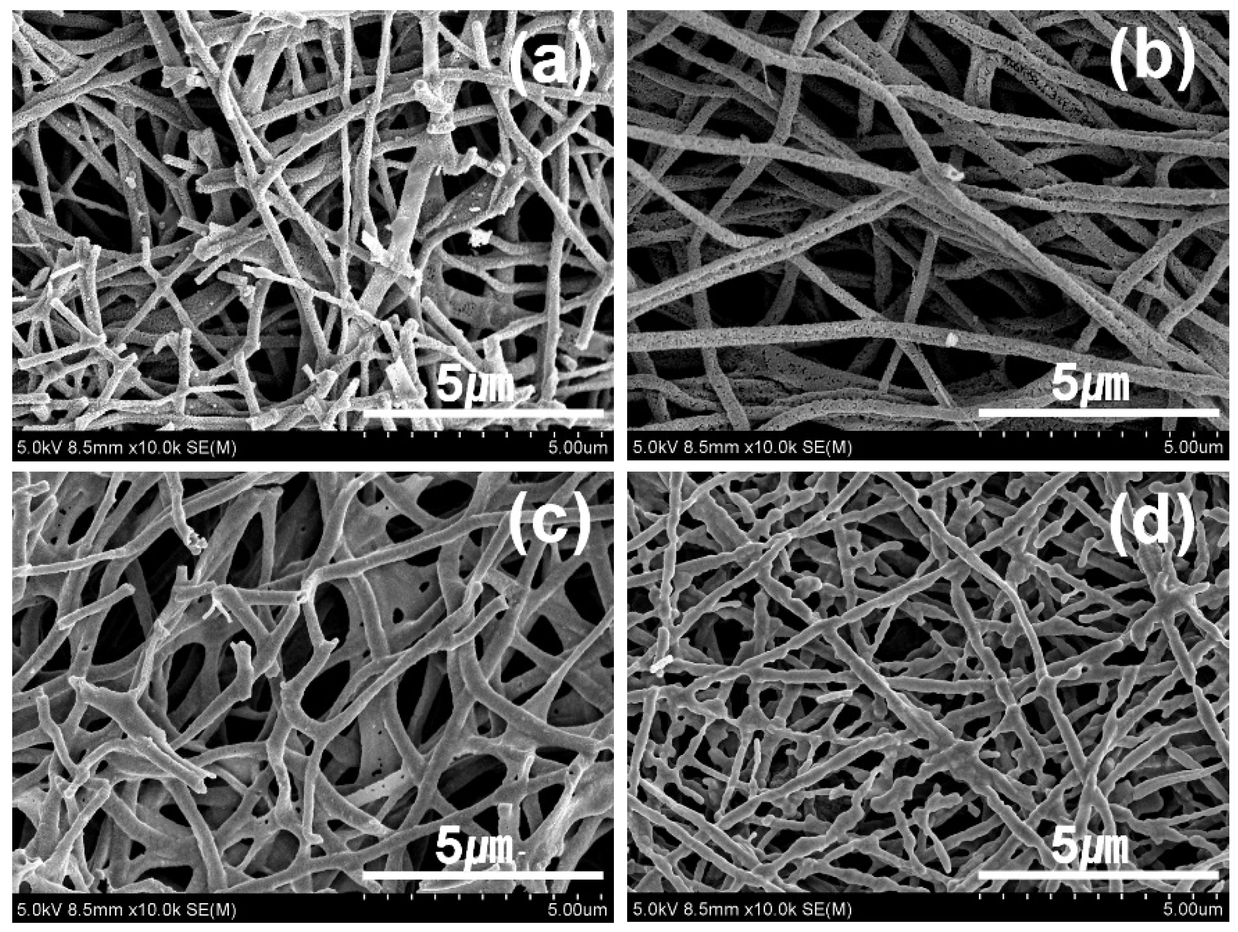 Energies 16 04979 g002