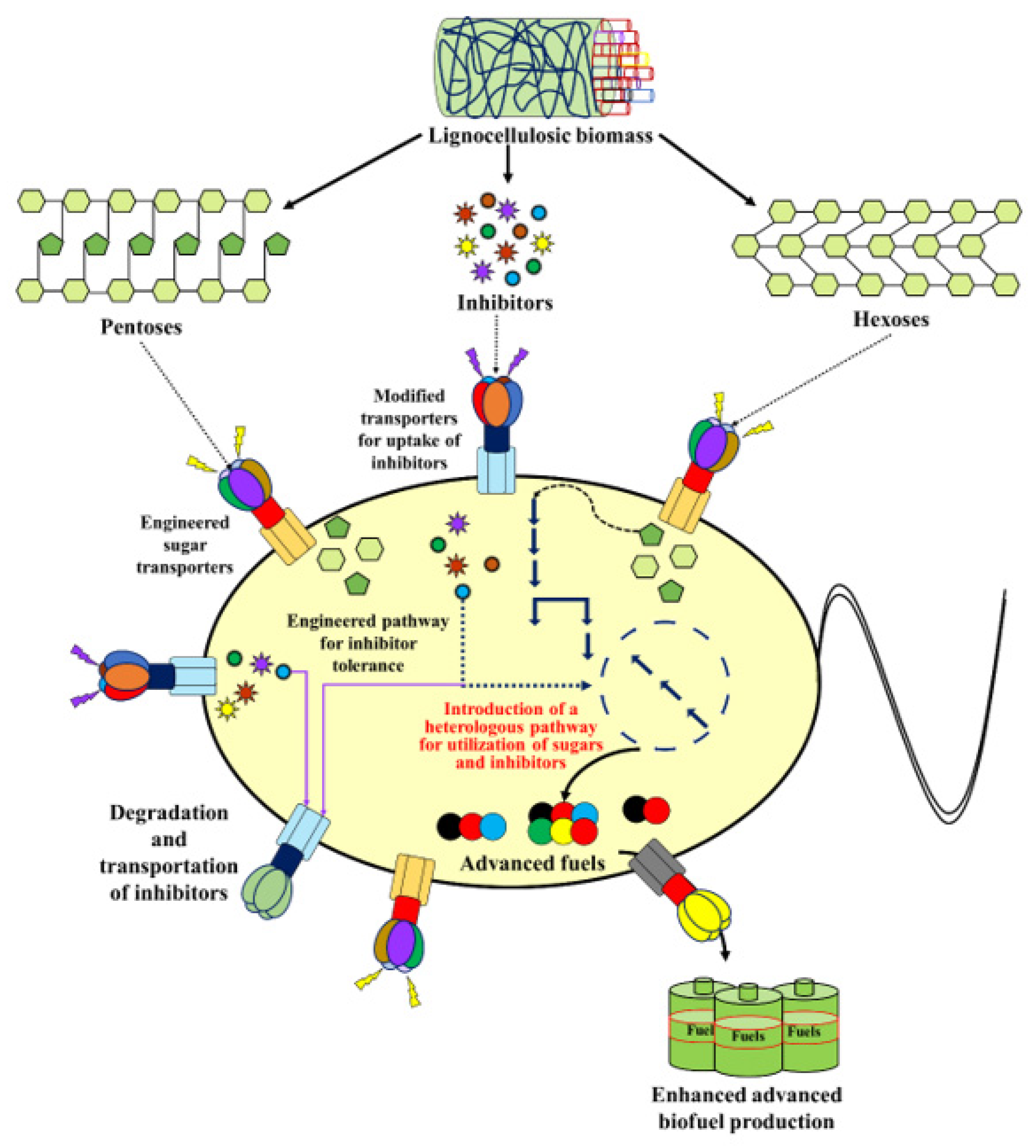 Energies 16 04998 g002 Energies 16 04998 g002