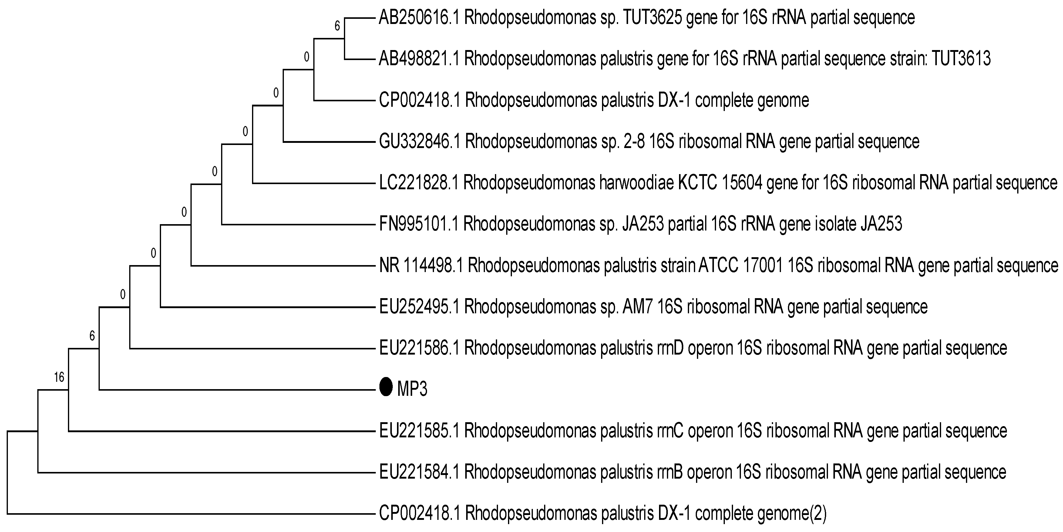 Energies 16 05018 g001