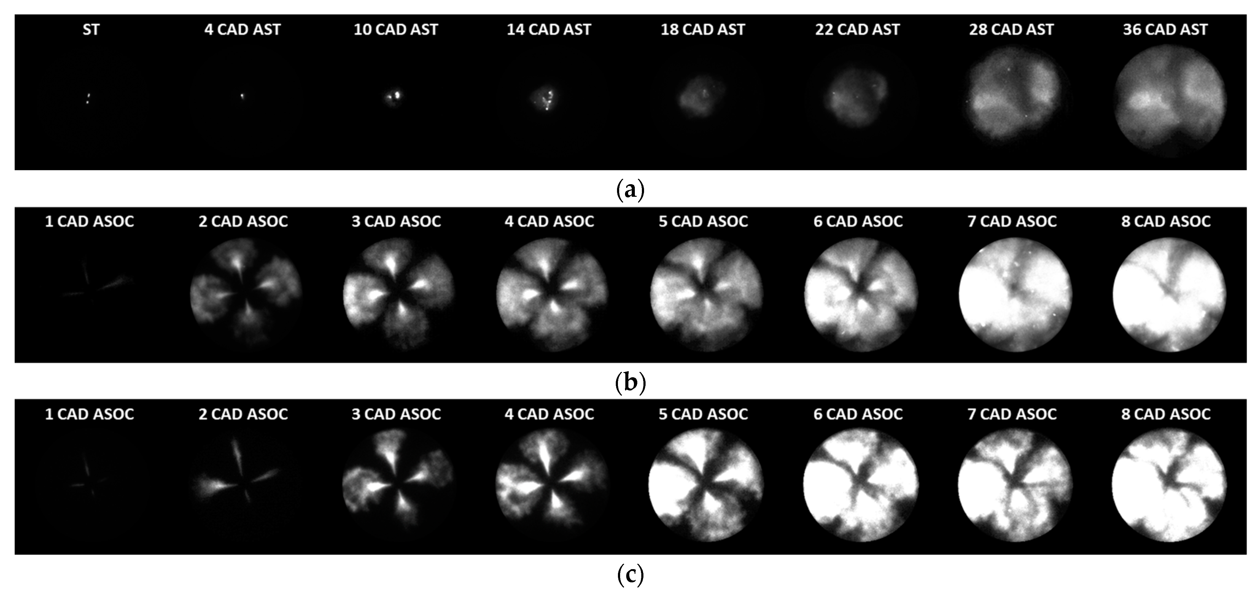Energies 16 05097 g009