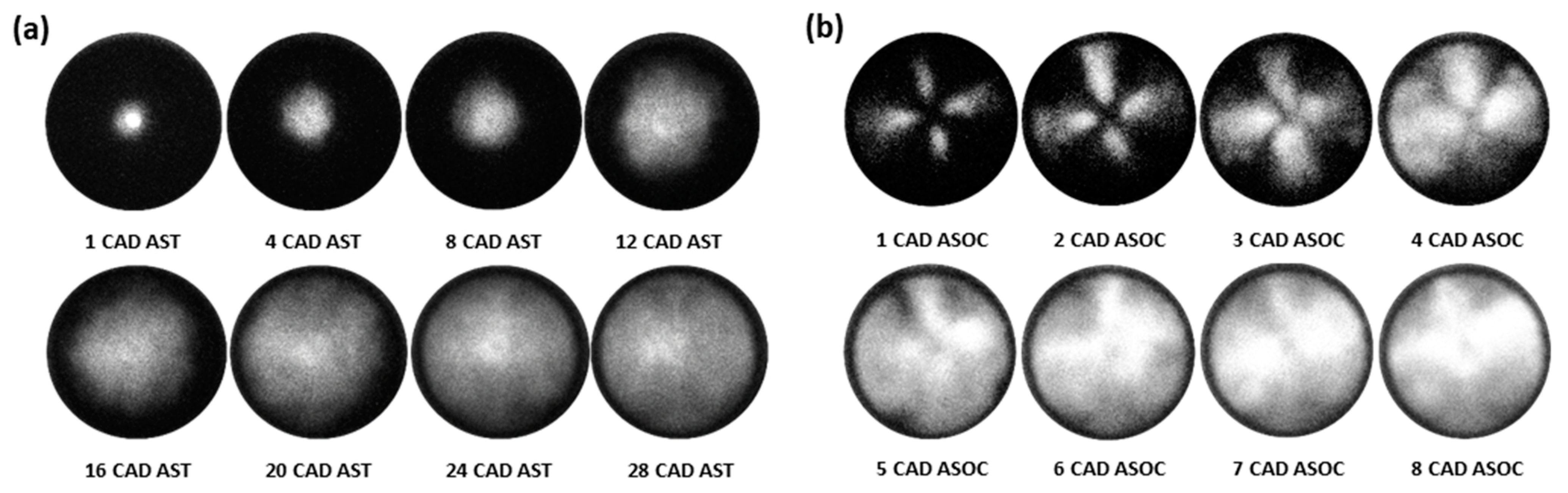 Energies 16 05097 g010