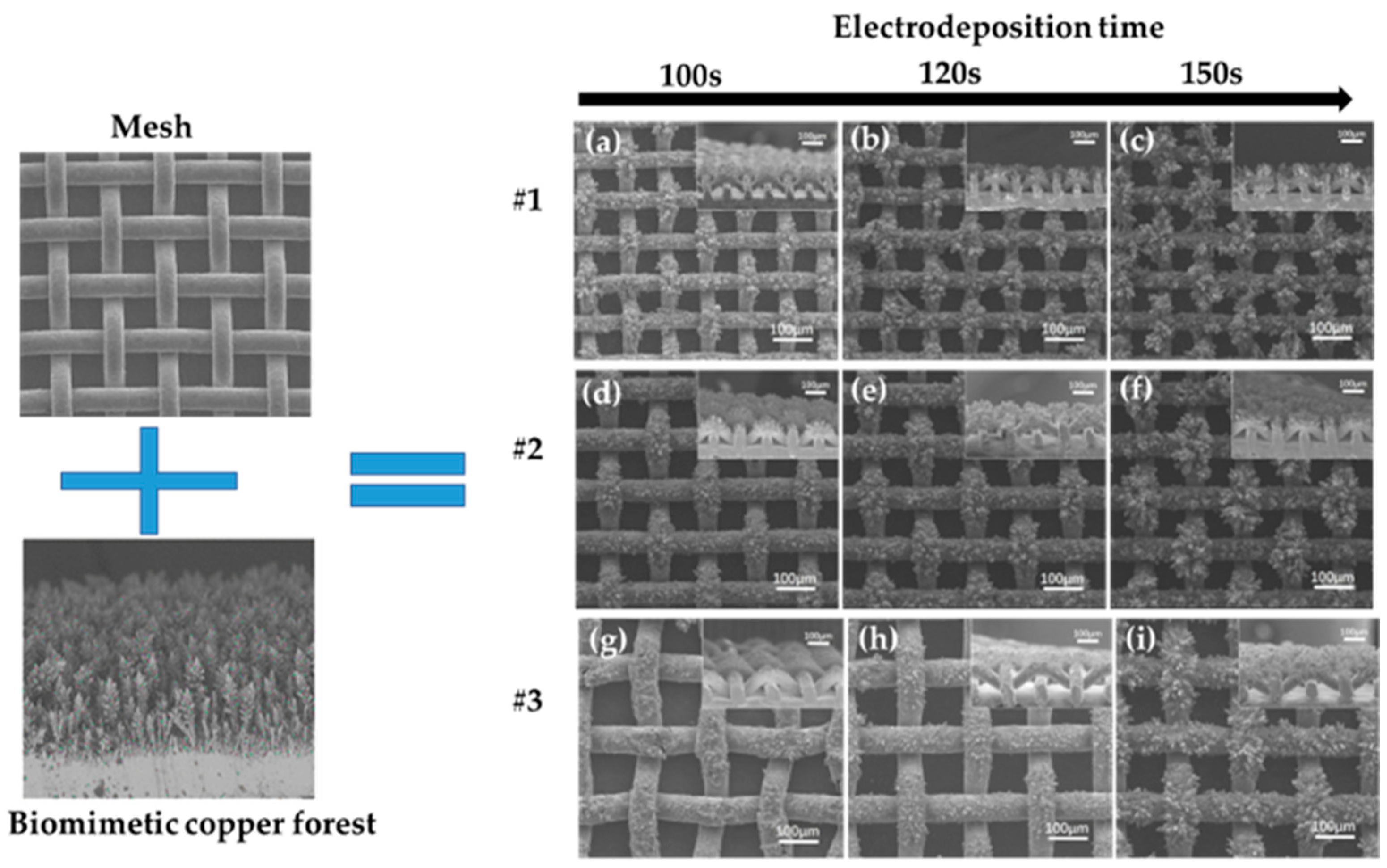 Energies 16 05348 g006