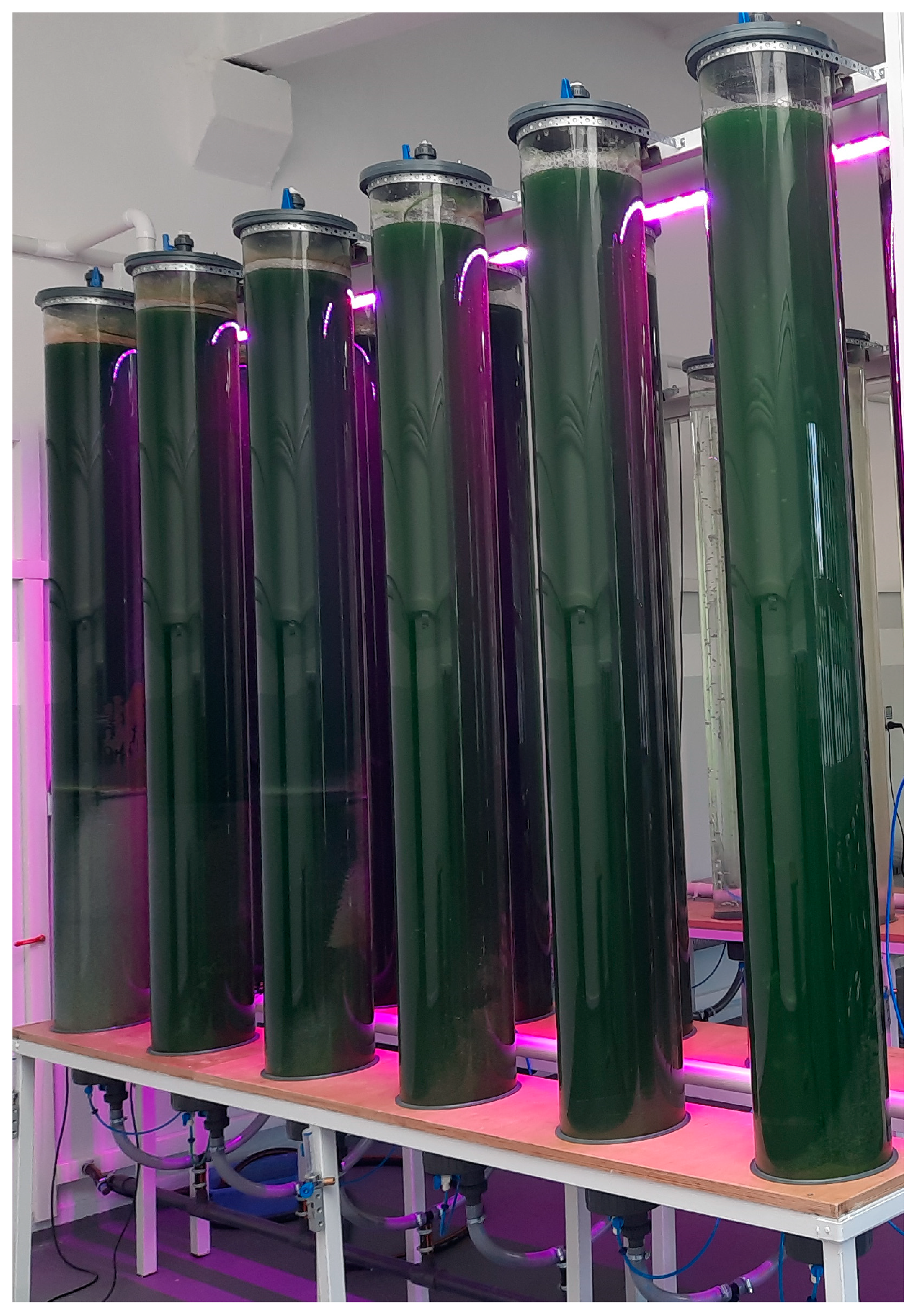 Energies 16 05376 g001