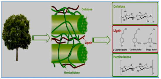 Energies 16 05403 g001