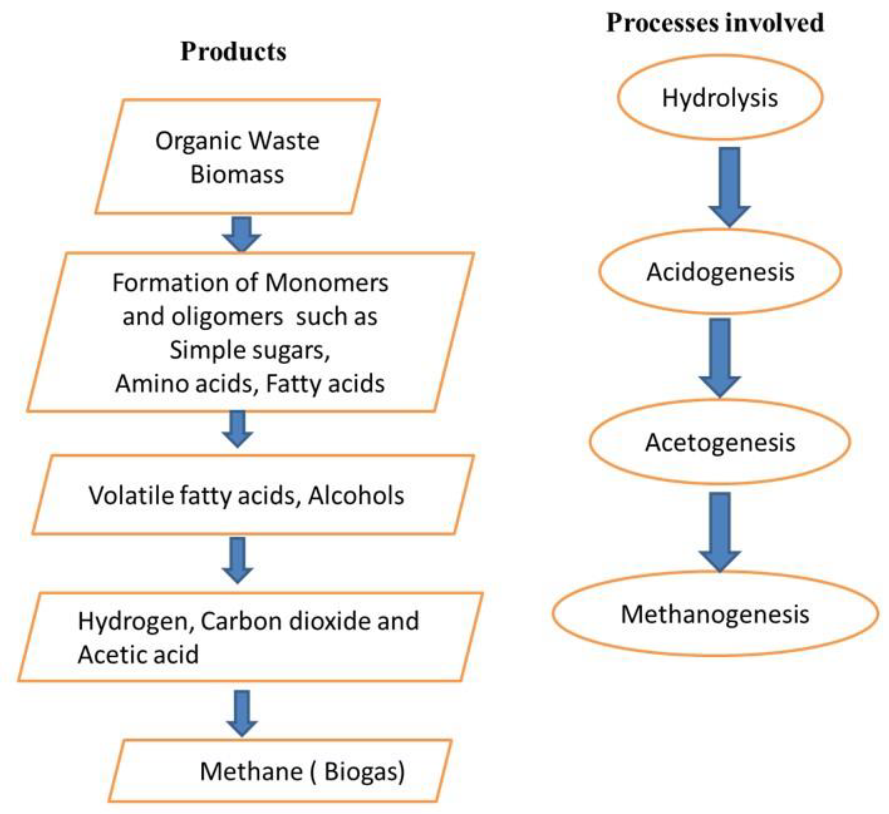 Energies 16 05409 g001