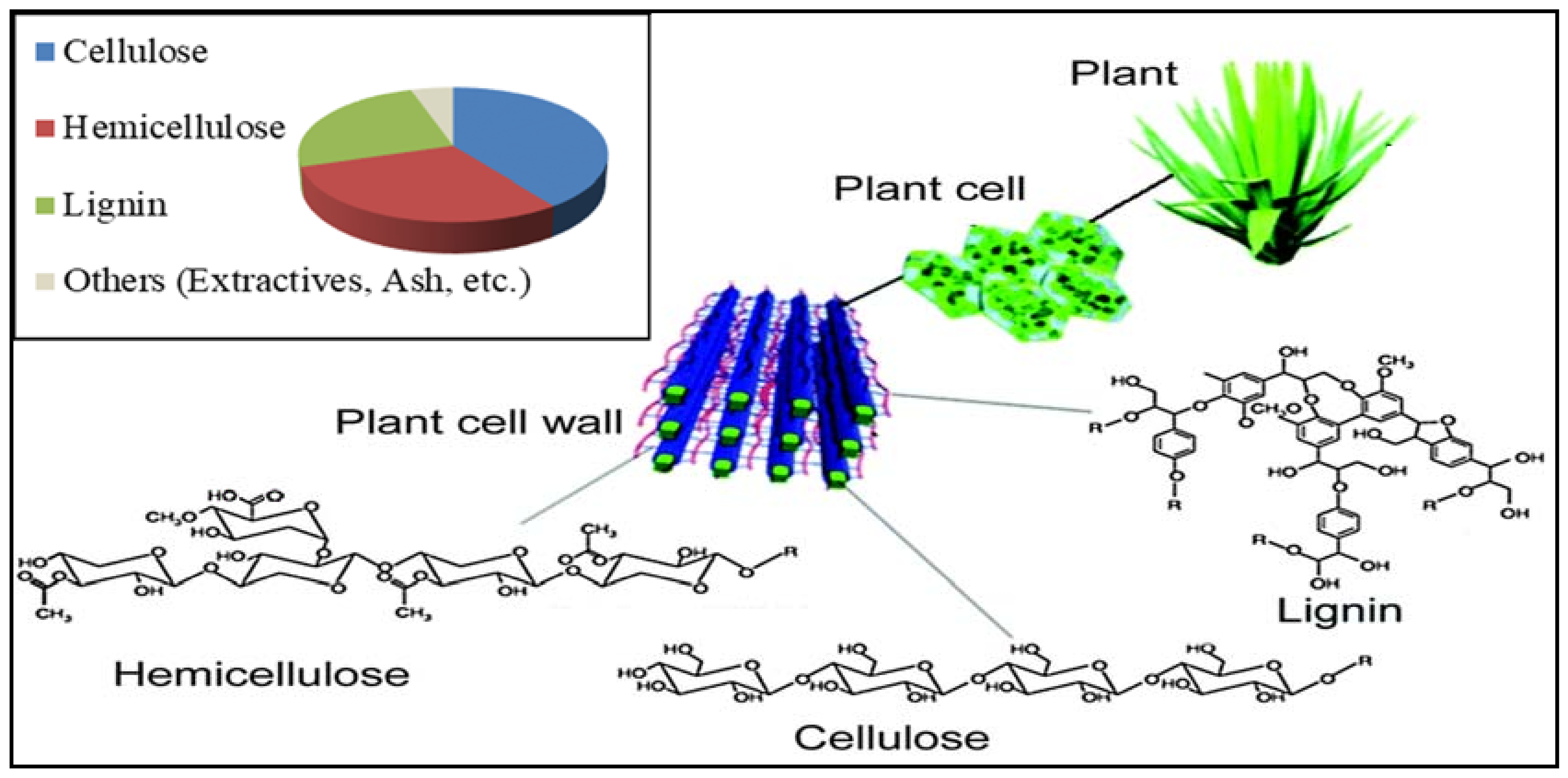 Energies 16 05547 g002