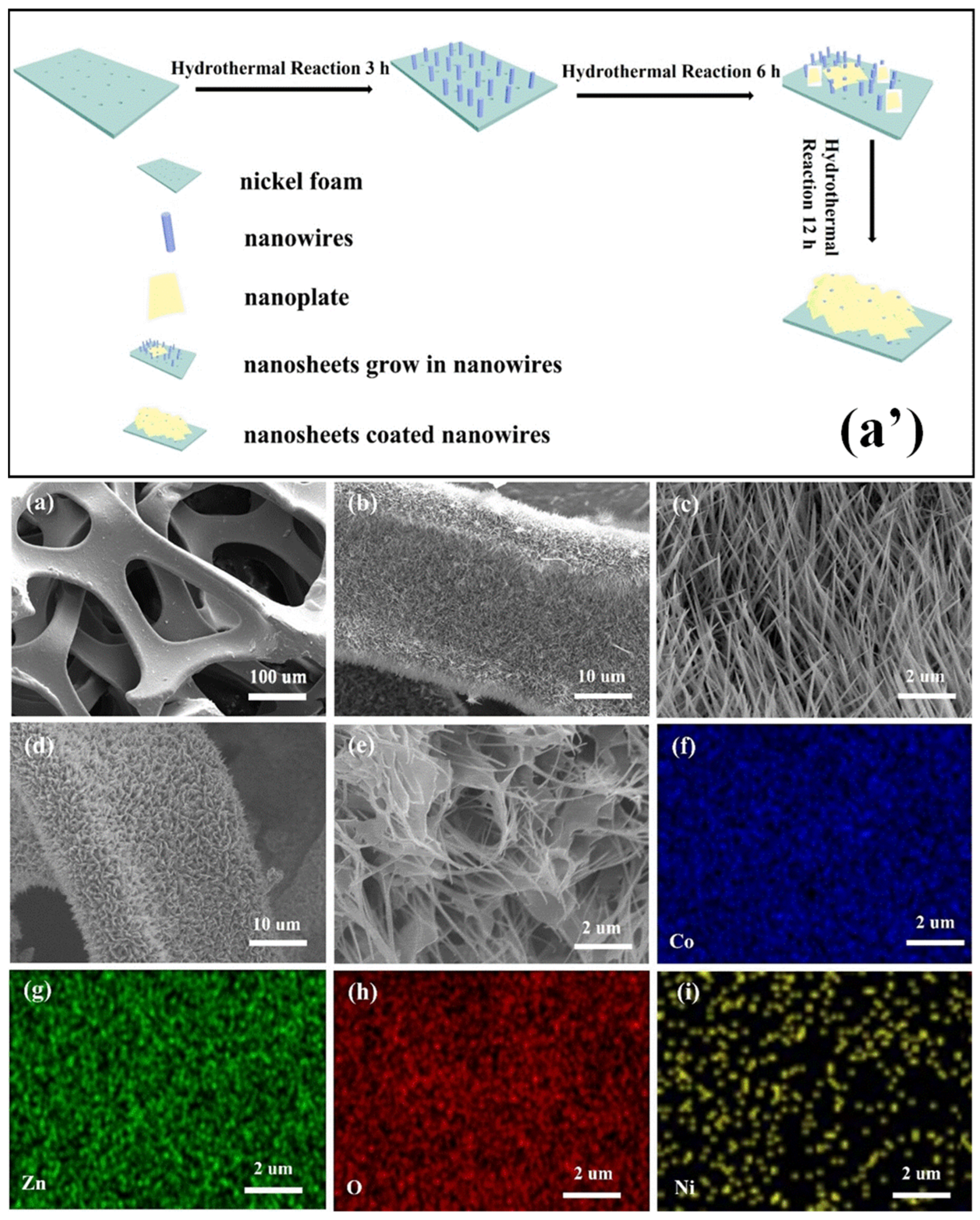 Energies 16 05604 g011