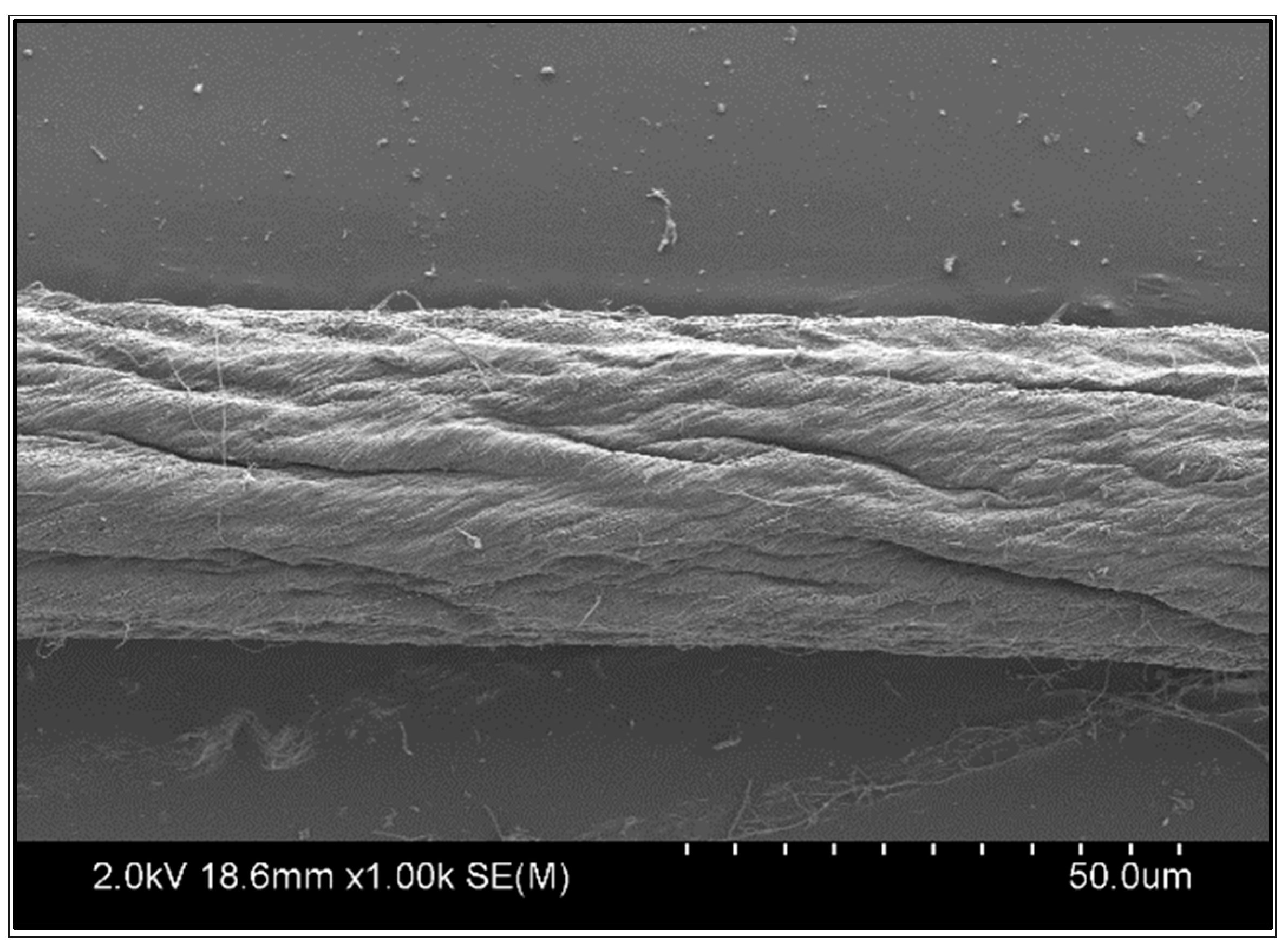 Energies 16 05736 g001