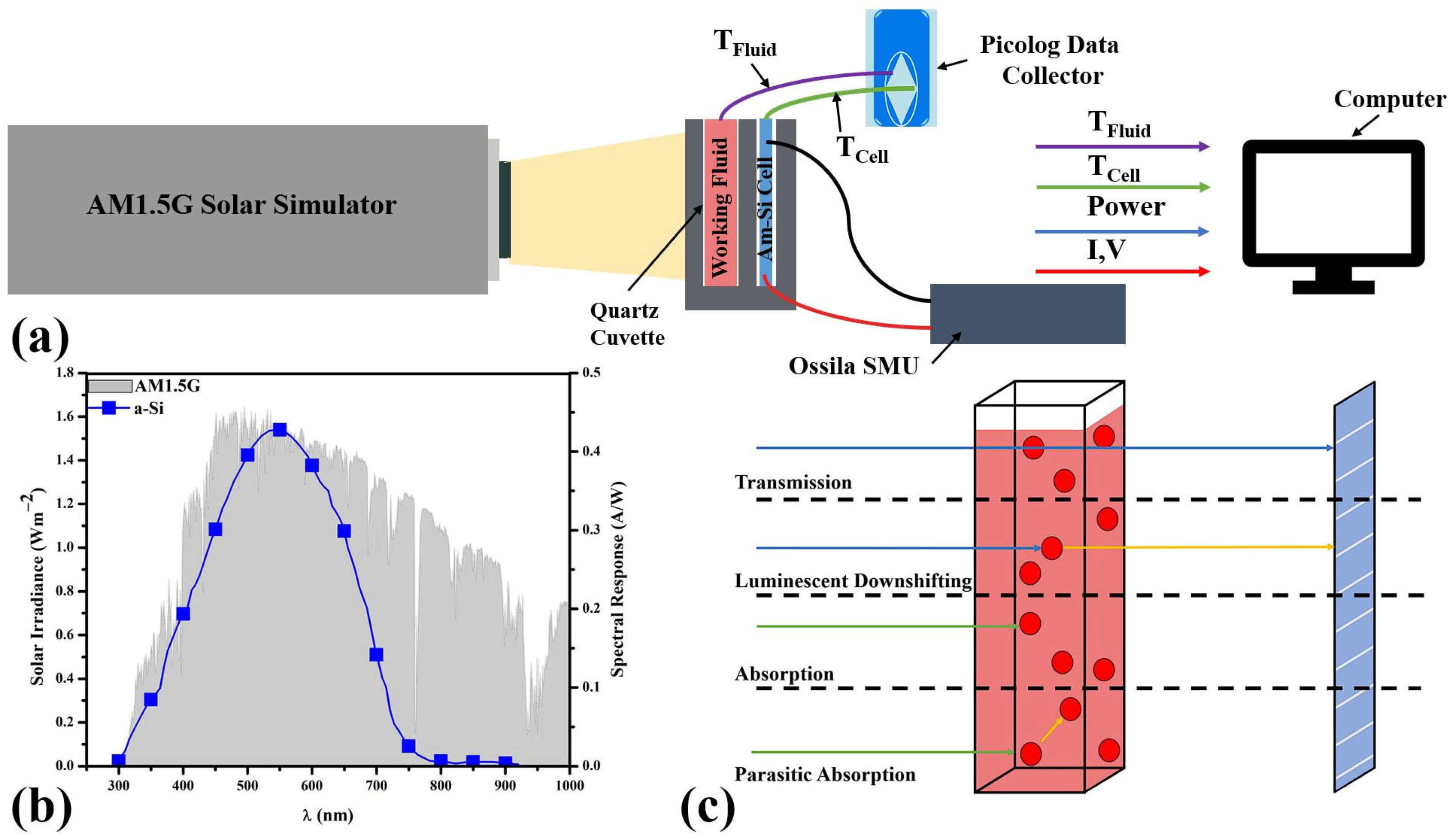 Energies 16 06294 g001