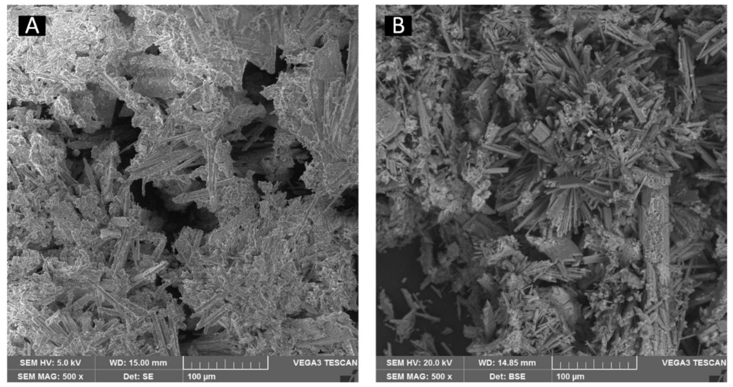 Energies 16 06314 g005