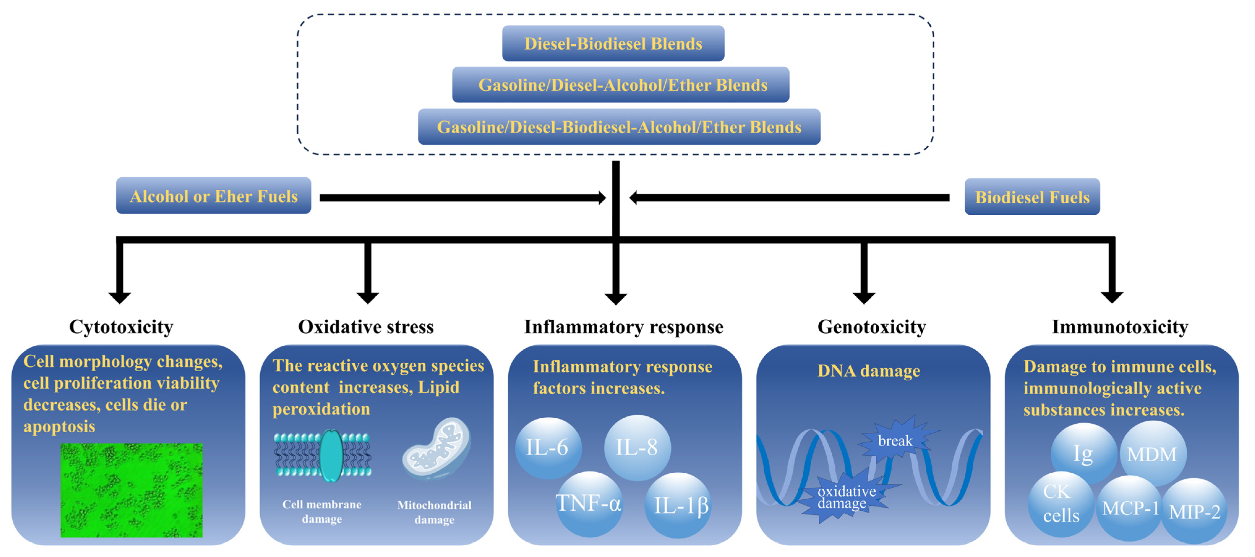 Energies 16 06507 g002