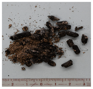 Energies 16 06539 i003 Energies 16 06539 i003