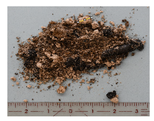 Energies 16 06539 i007 Energies 16 06539 i007