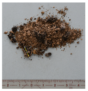 Energies 16 06539 i021 Energies 16 06539 i021