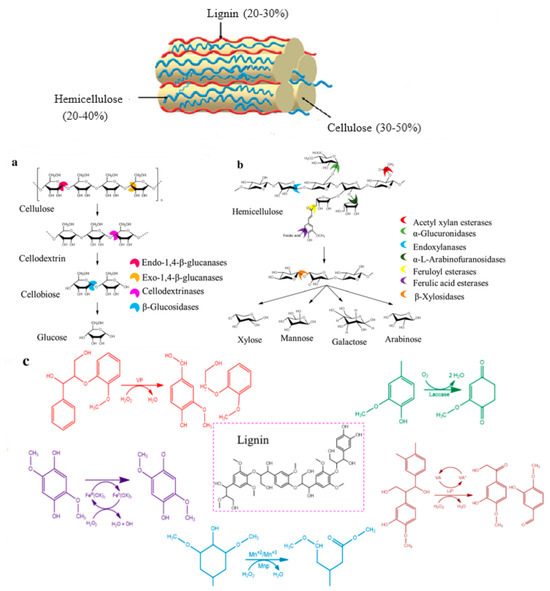 Energies 16 07003 g001