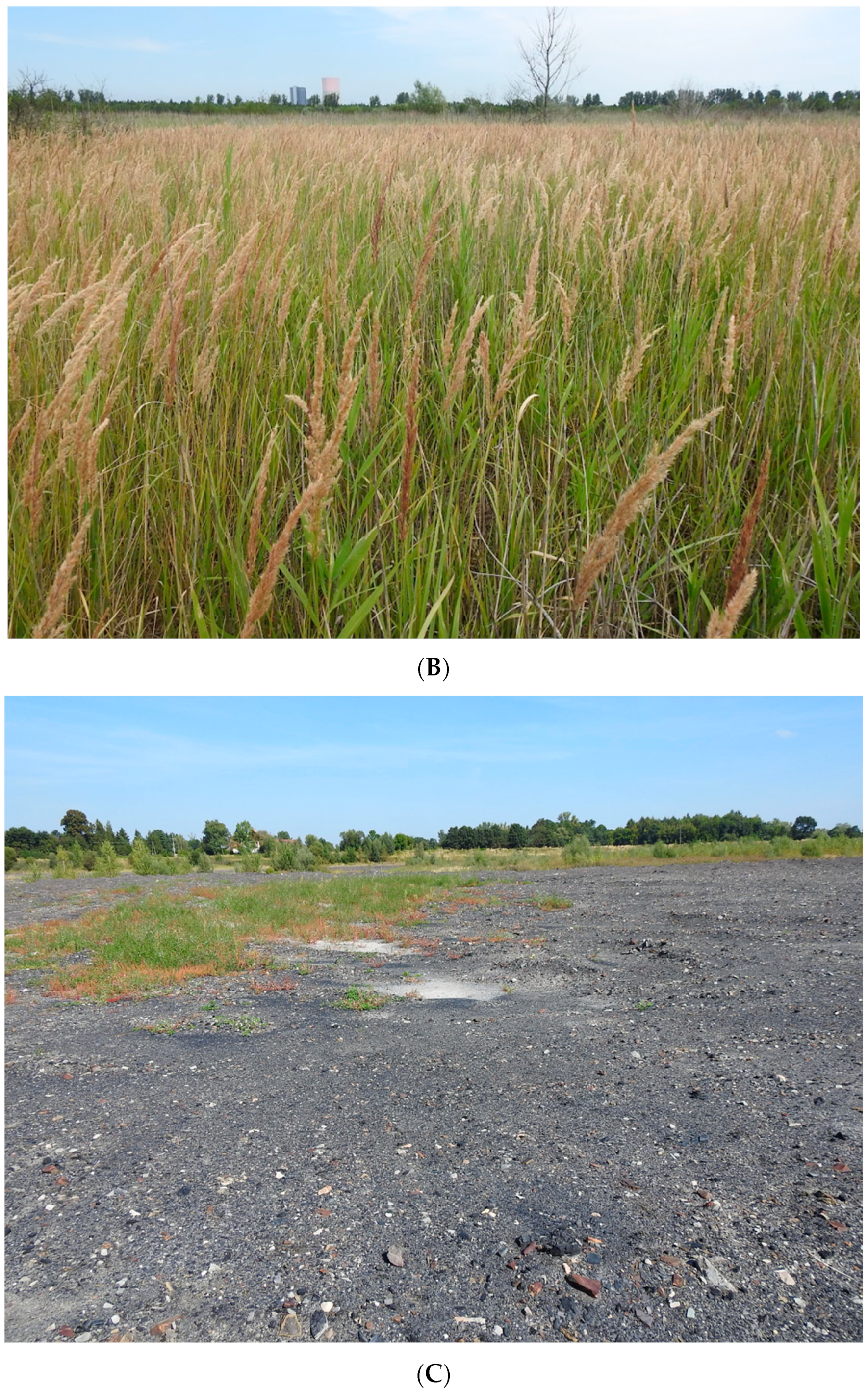 Energies 16 07083 g002b