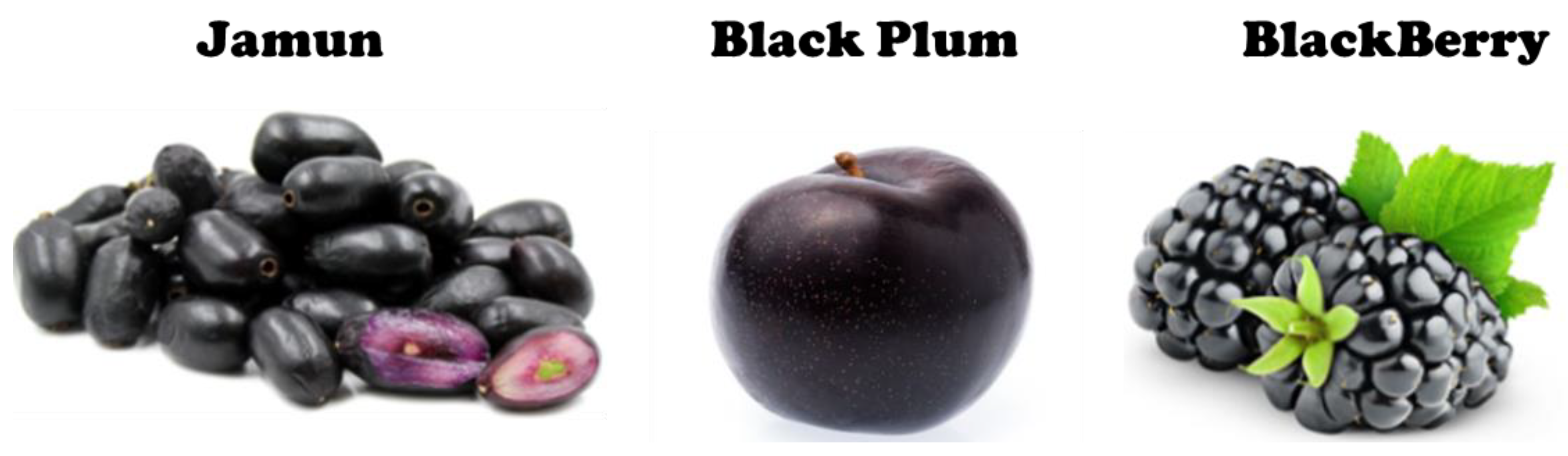 Energies 16 07187 g001