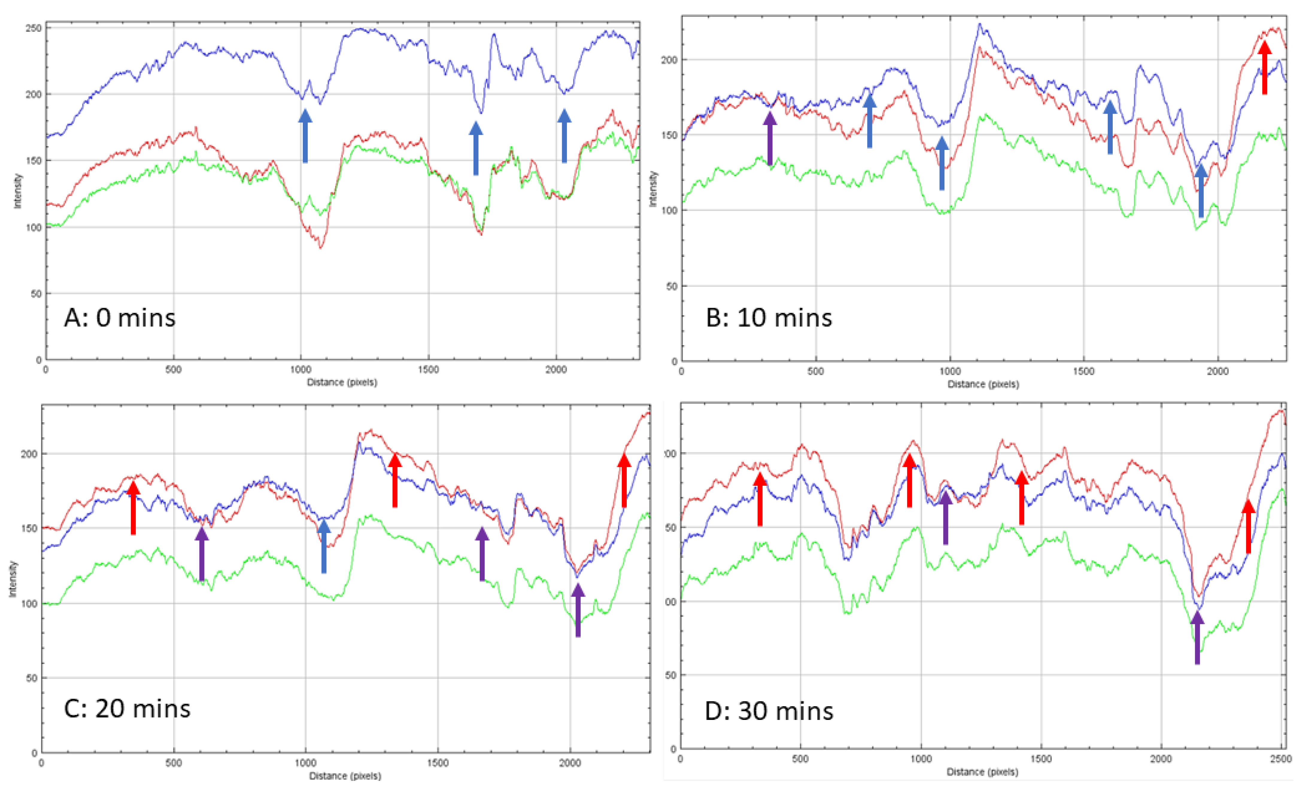 Energies 16 07225 g005