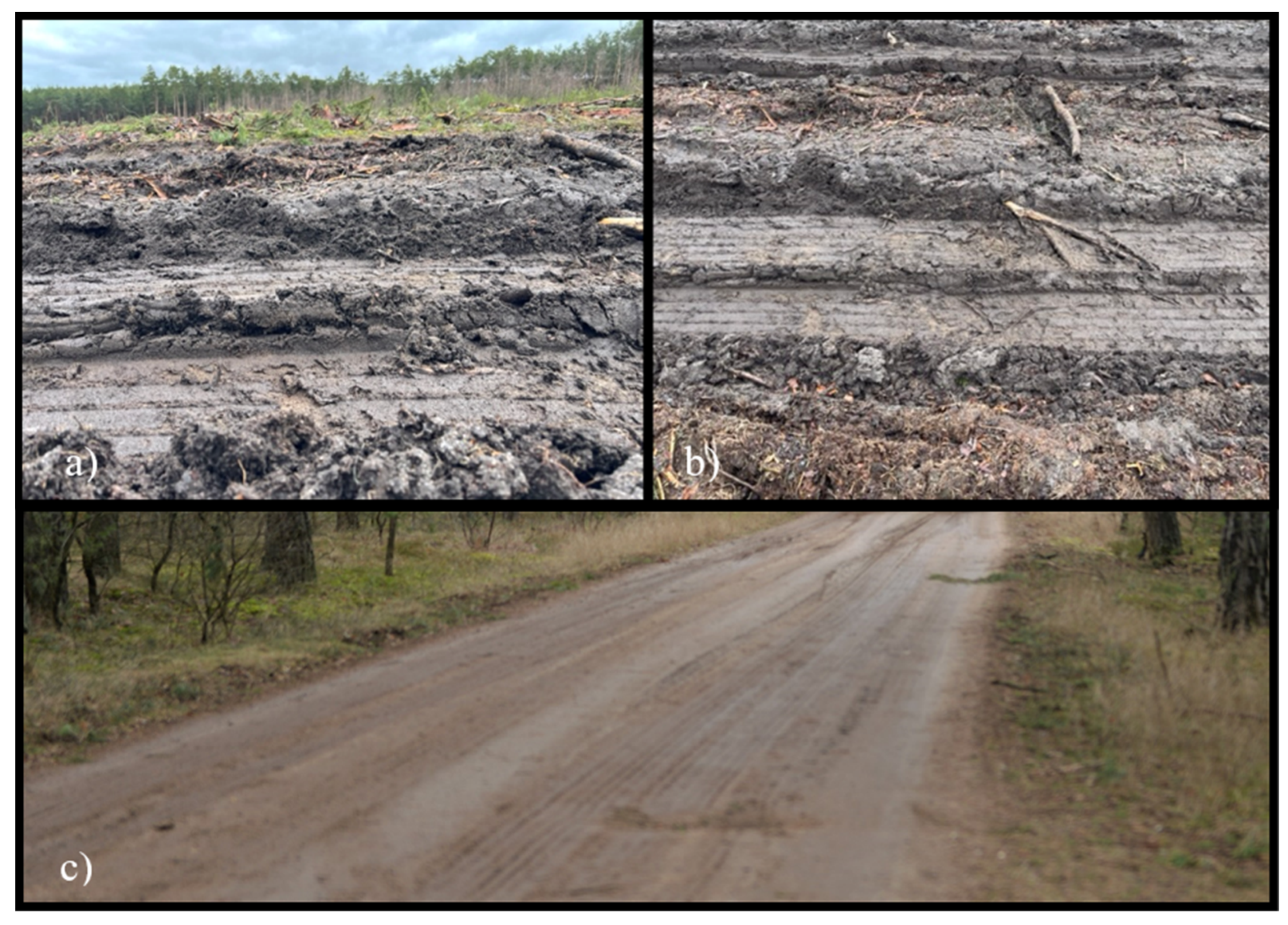 Energies 16 07257 g004