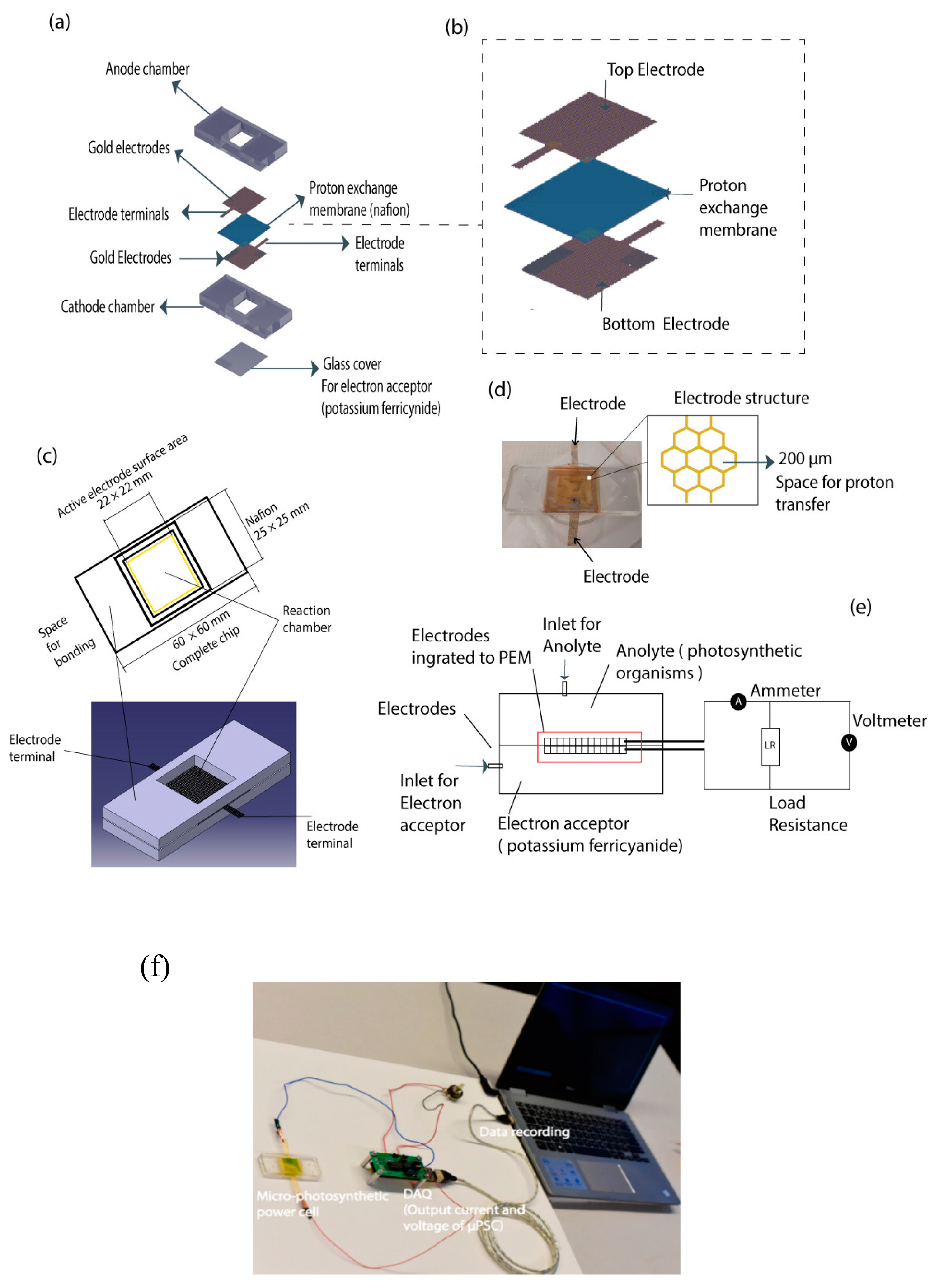 Energies 16 07353 g002