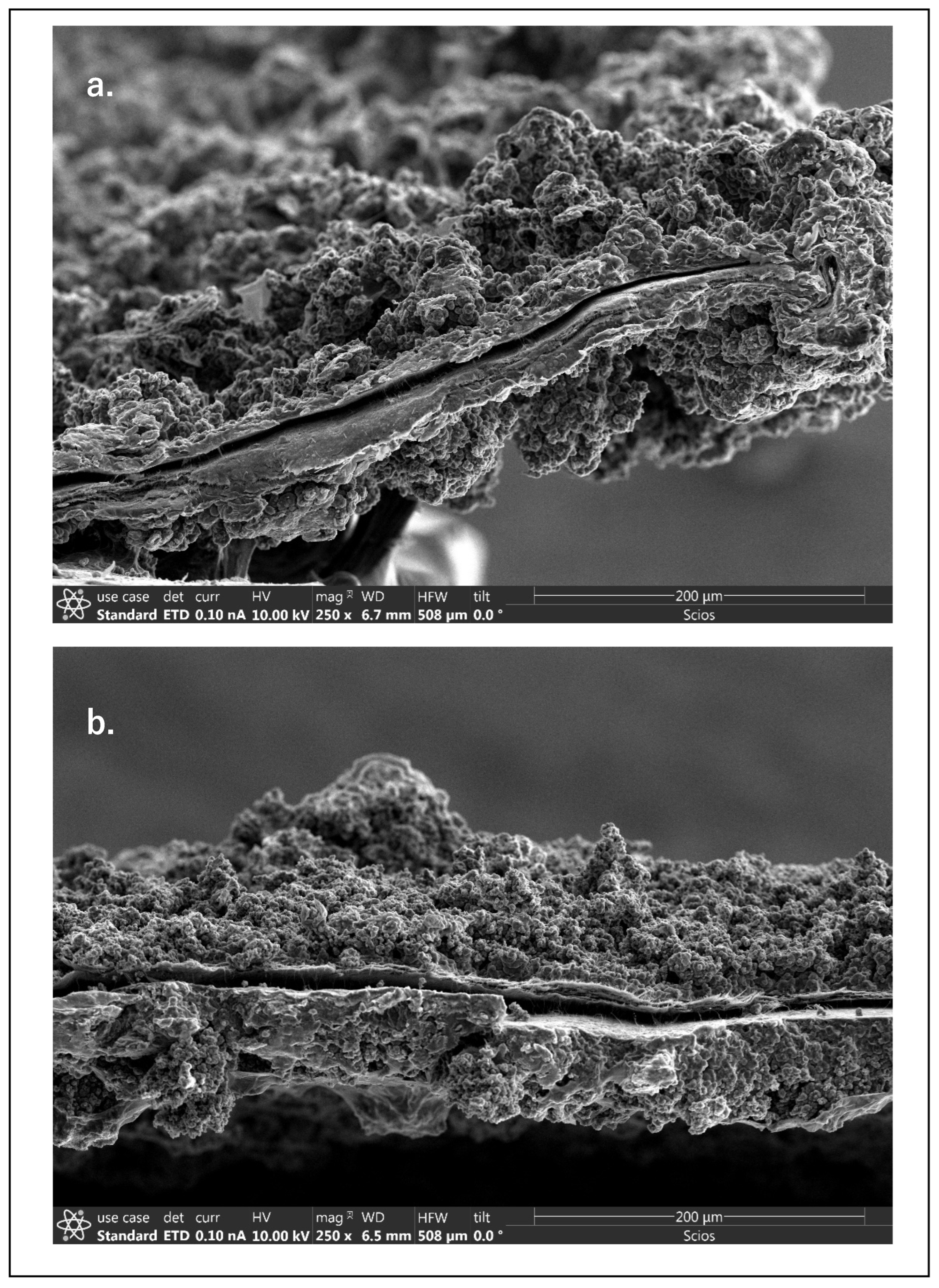 Energies 16 07462 g005