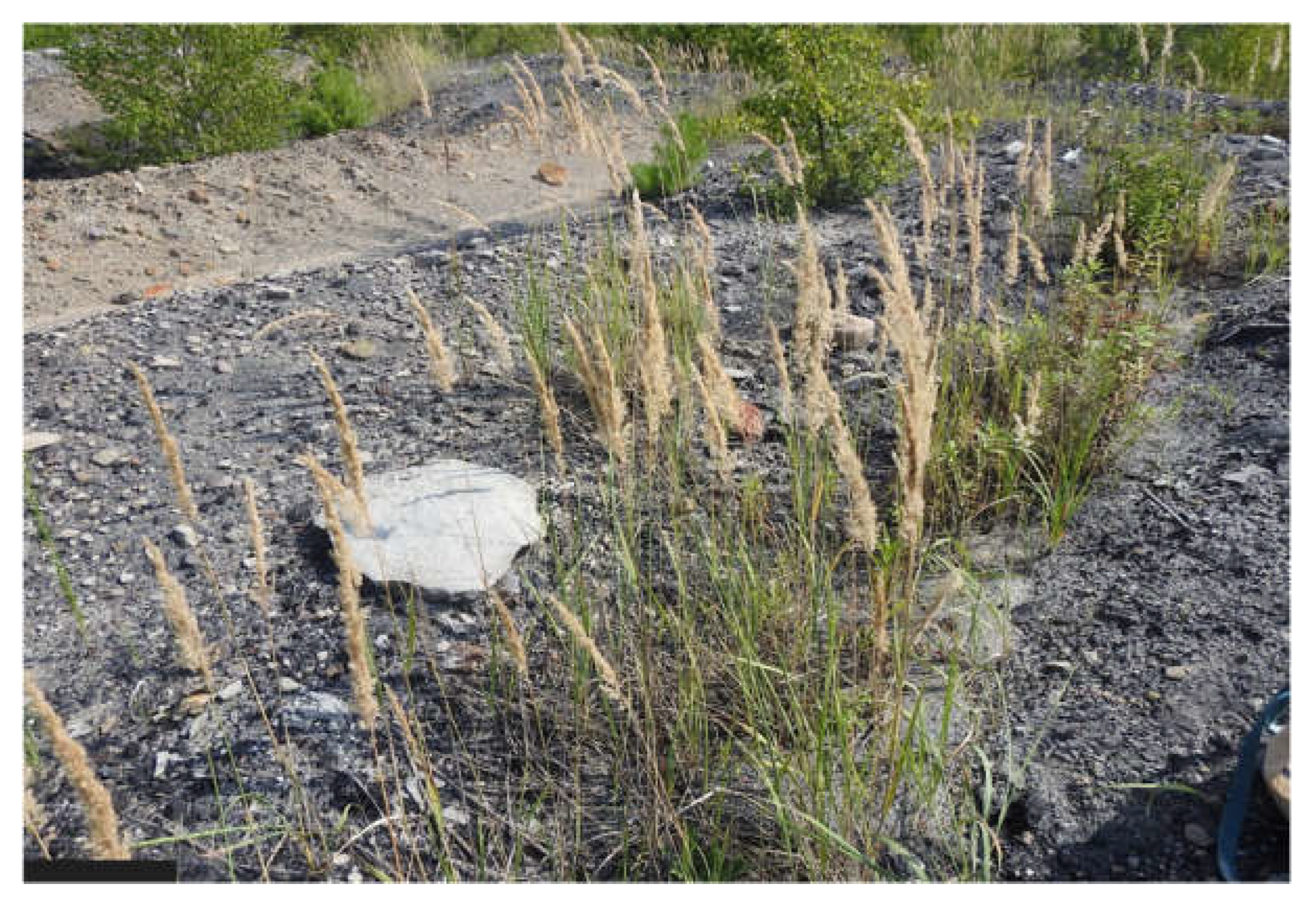 Energies 16 07513 g006