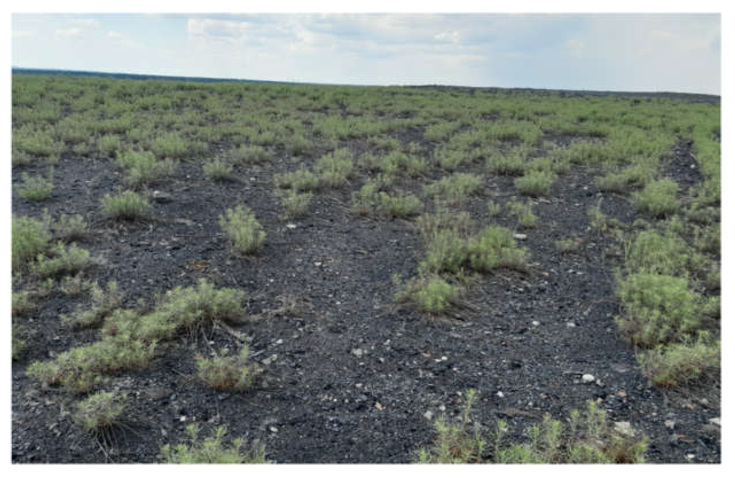 Energies 16 07513 g008