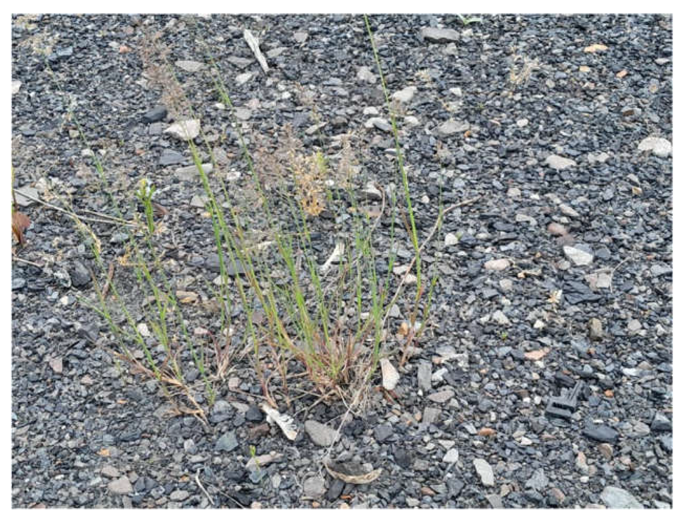 Energies 16 07513 g010