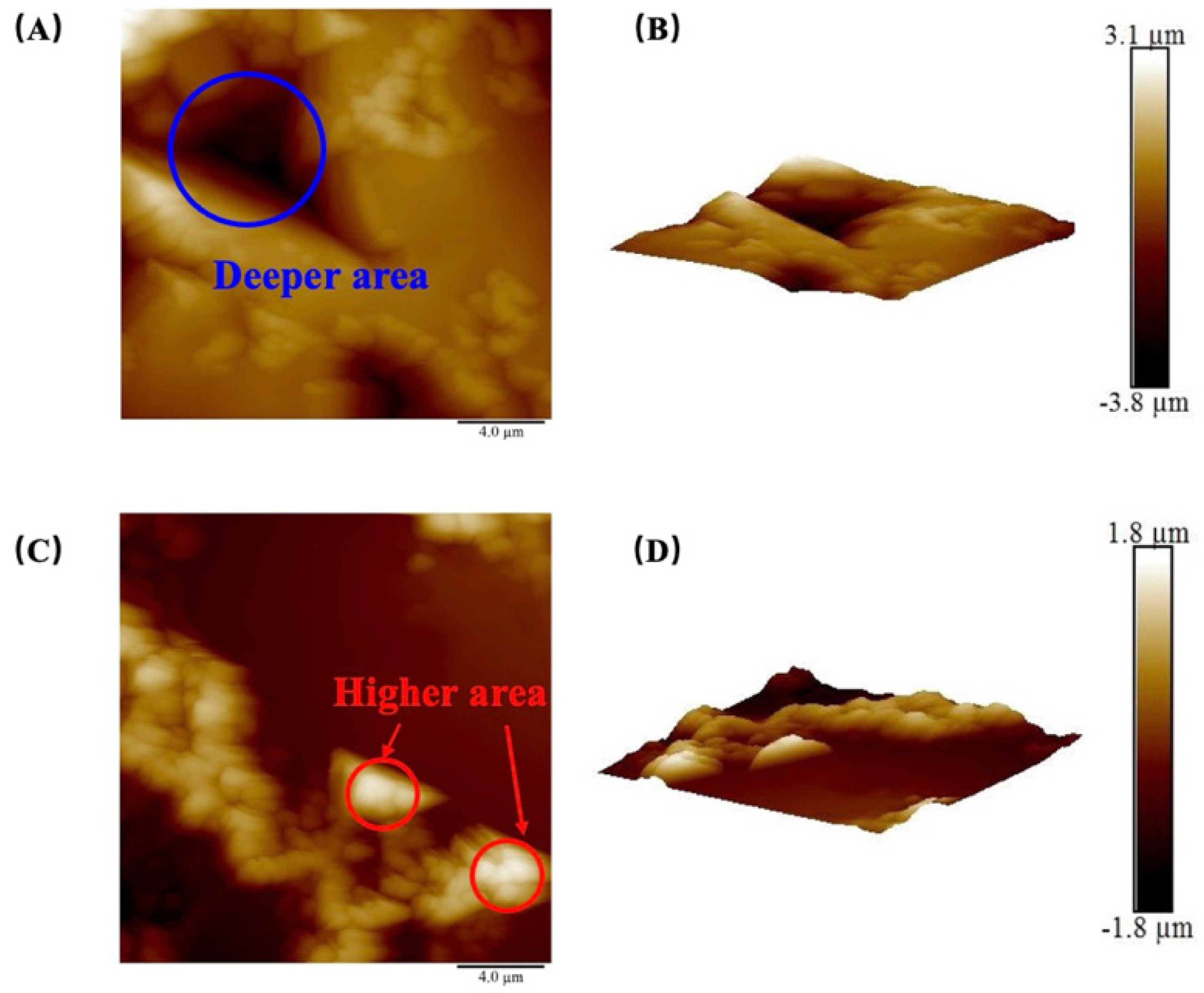 Energies 16 07527 g003