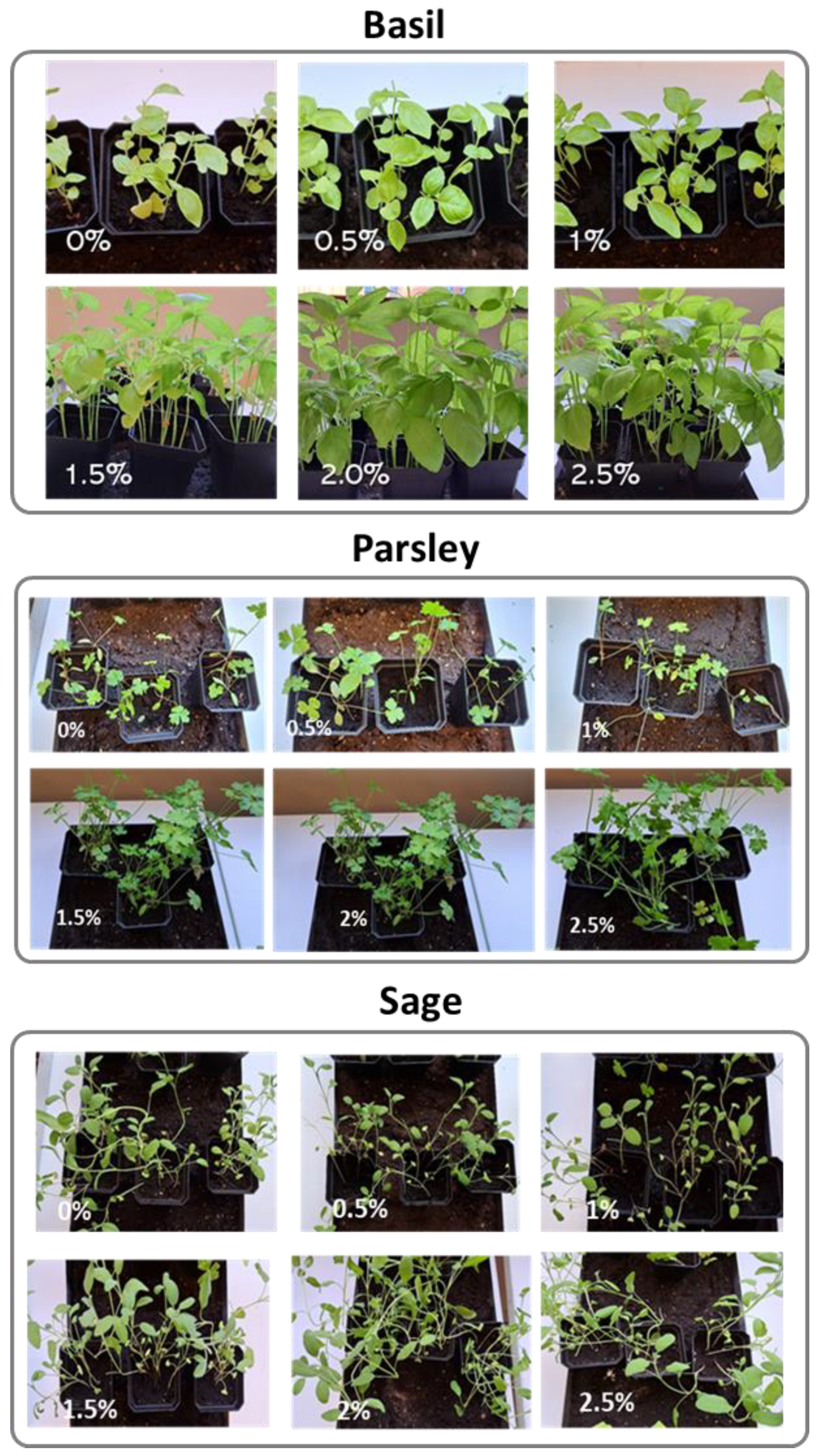 Energies 16 07774 g006
