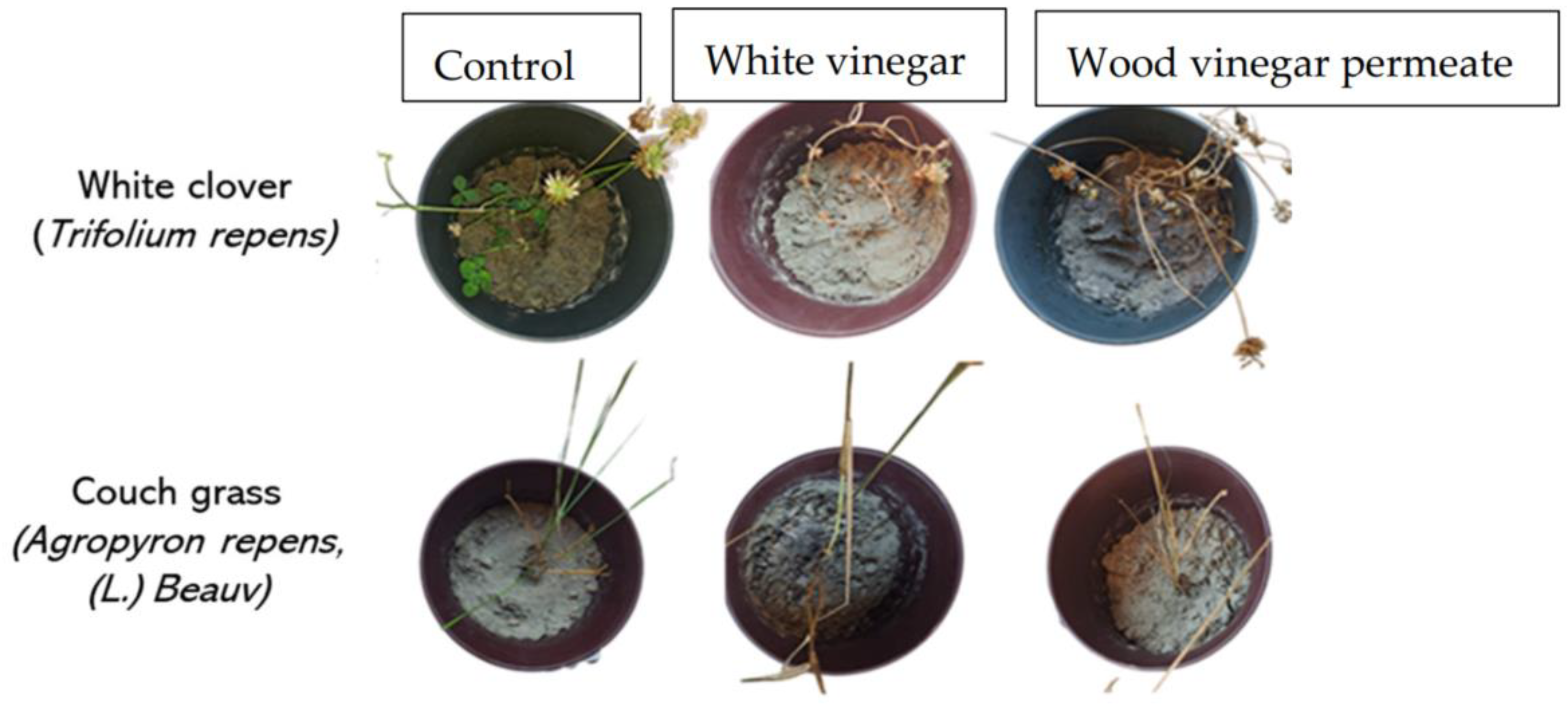 Energies 16 07774 g008