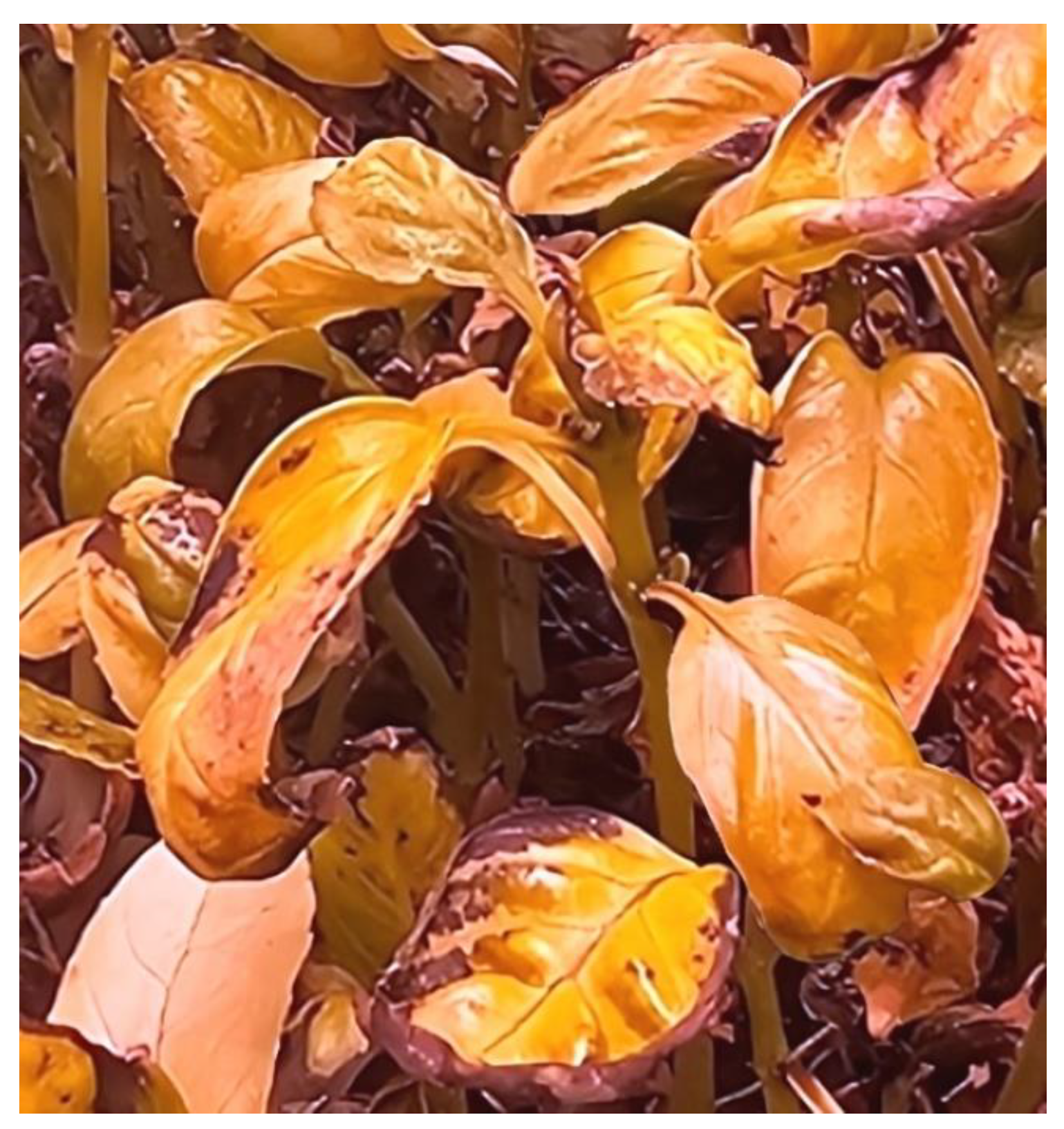 Energies 16 07843 g002